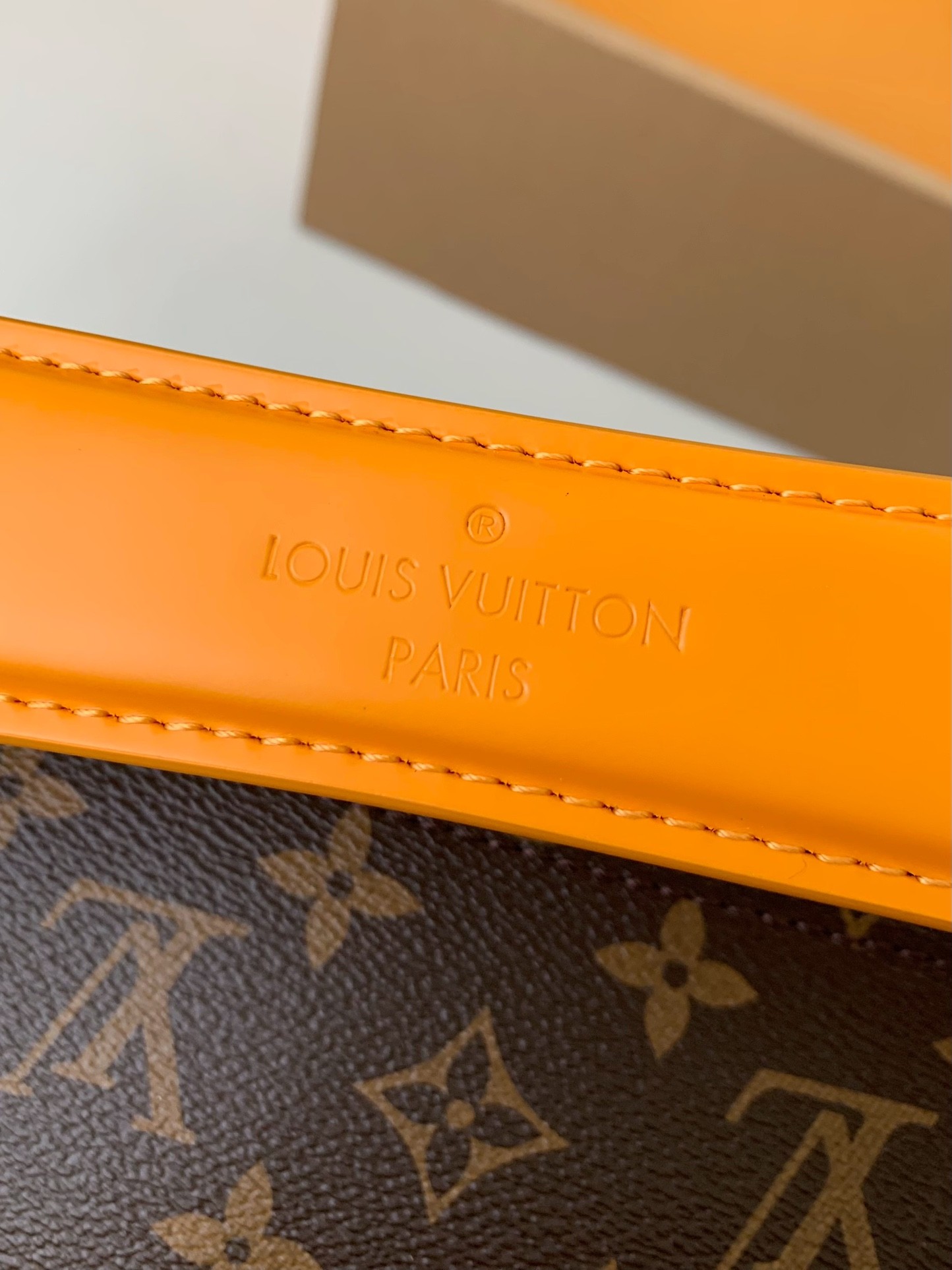 Louis Vuitton 2023 SOFT POLOCHON handbag M46691