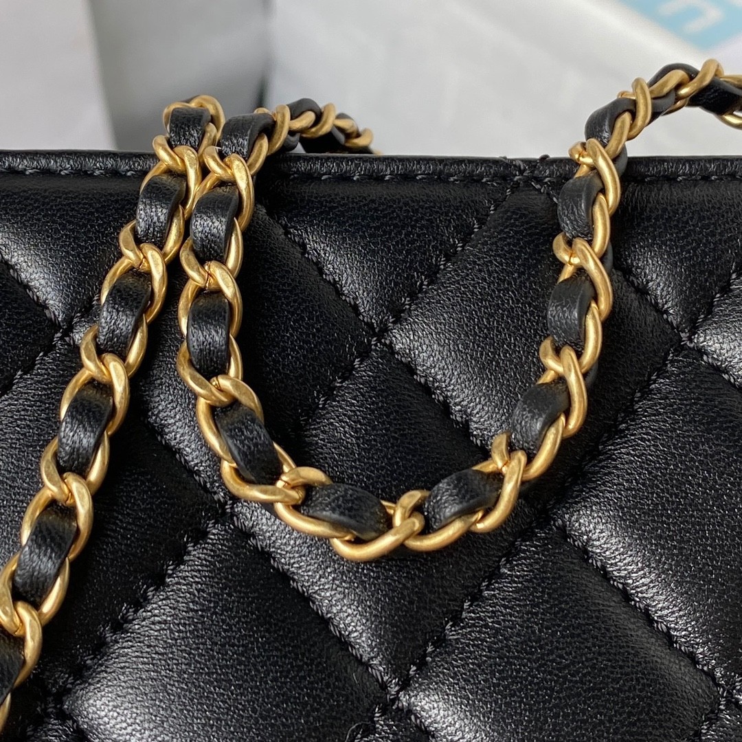 Chanel 23A Golden Little Lion Chain Ba9 AP3429, Top Quality