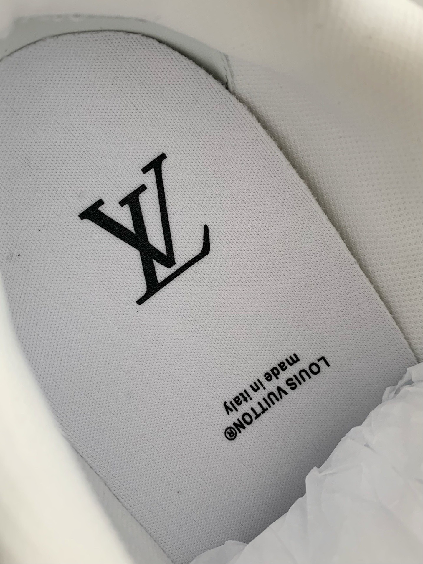 Louis Vuitton Skate Sneakers