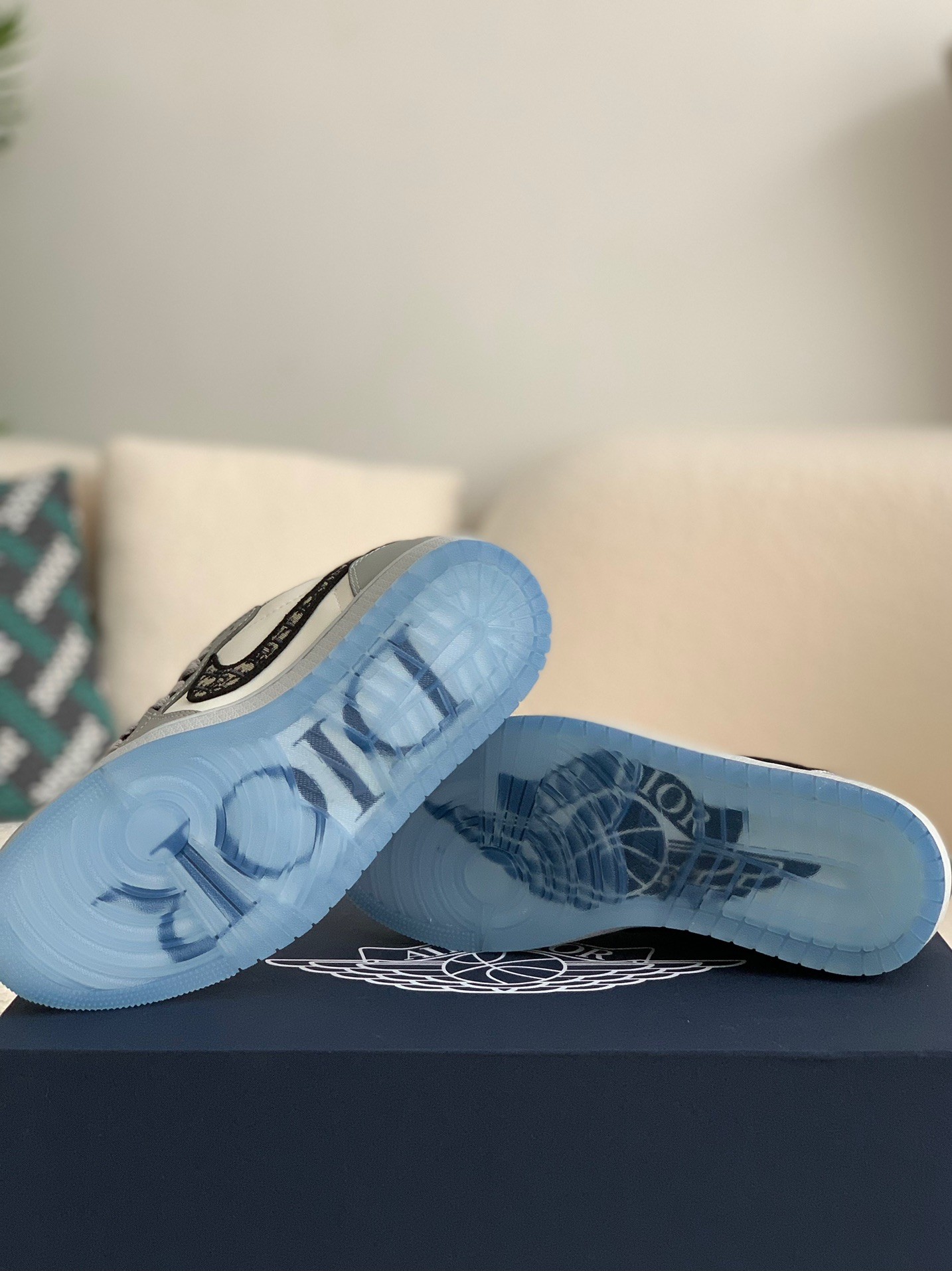 DIOR x NIKE JORDAN 1 Sneaker Low