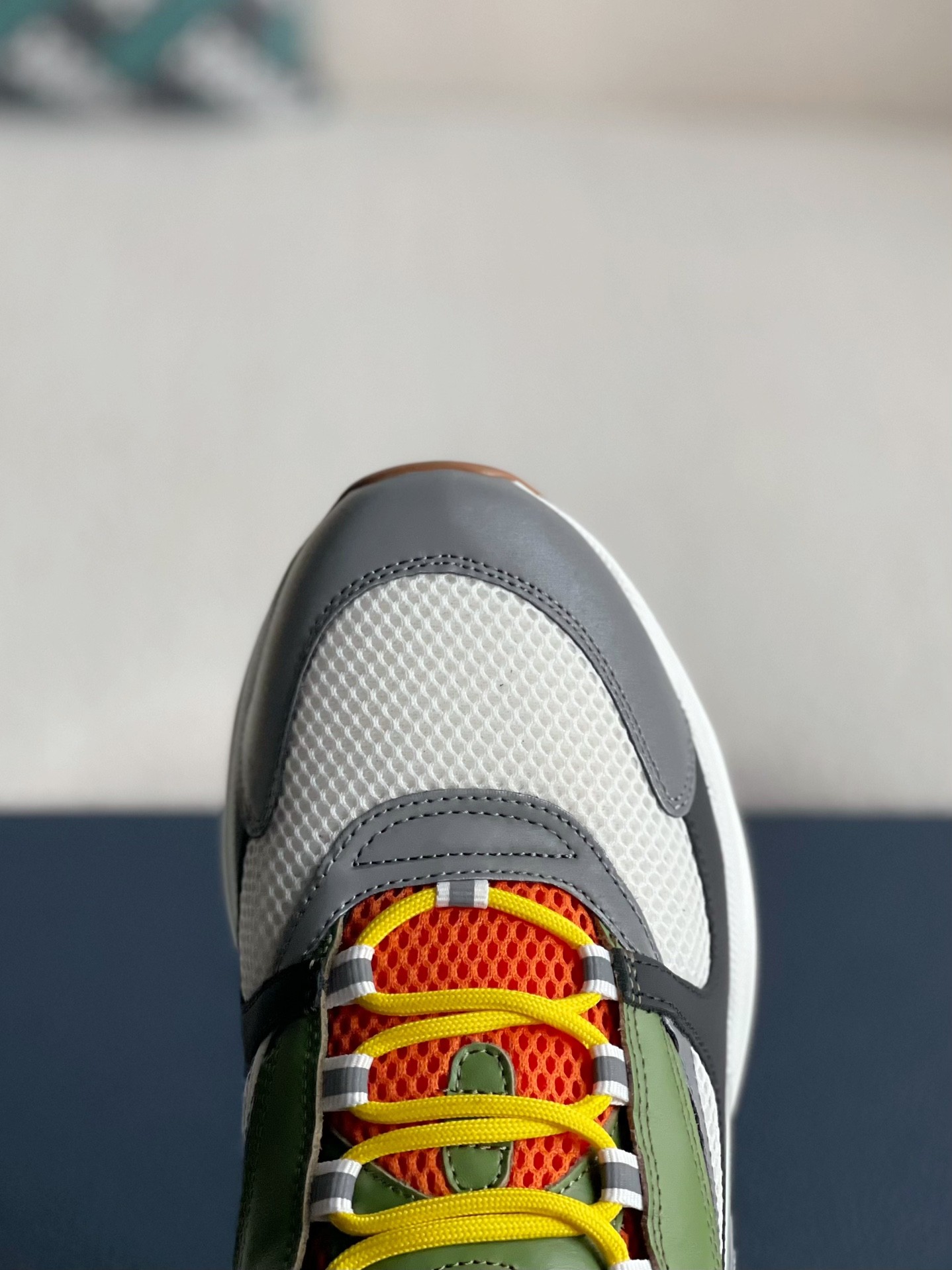 DlOR classic B22 Clunky Sneaker