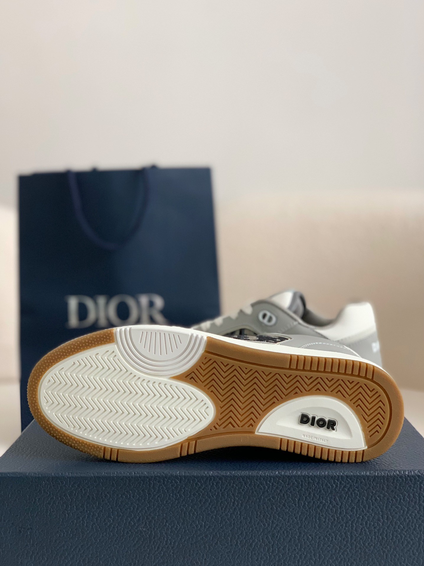 DIOR HIGH LEVEL B27 Sneaker