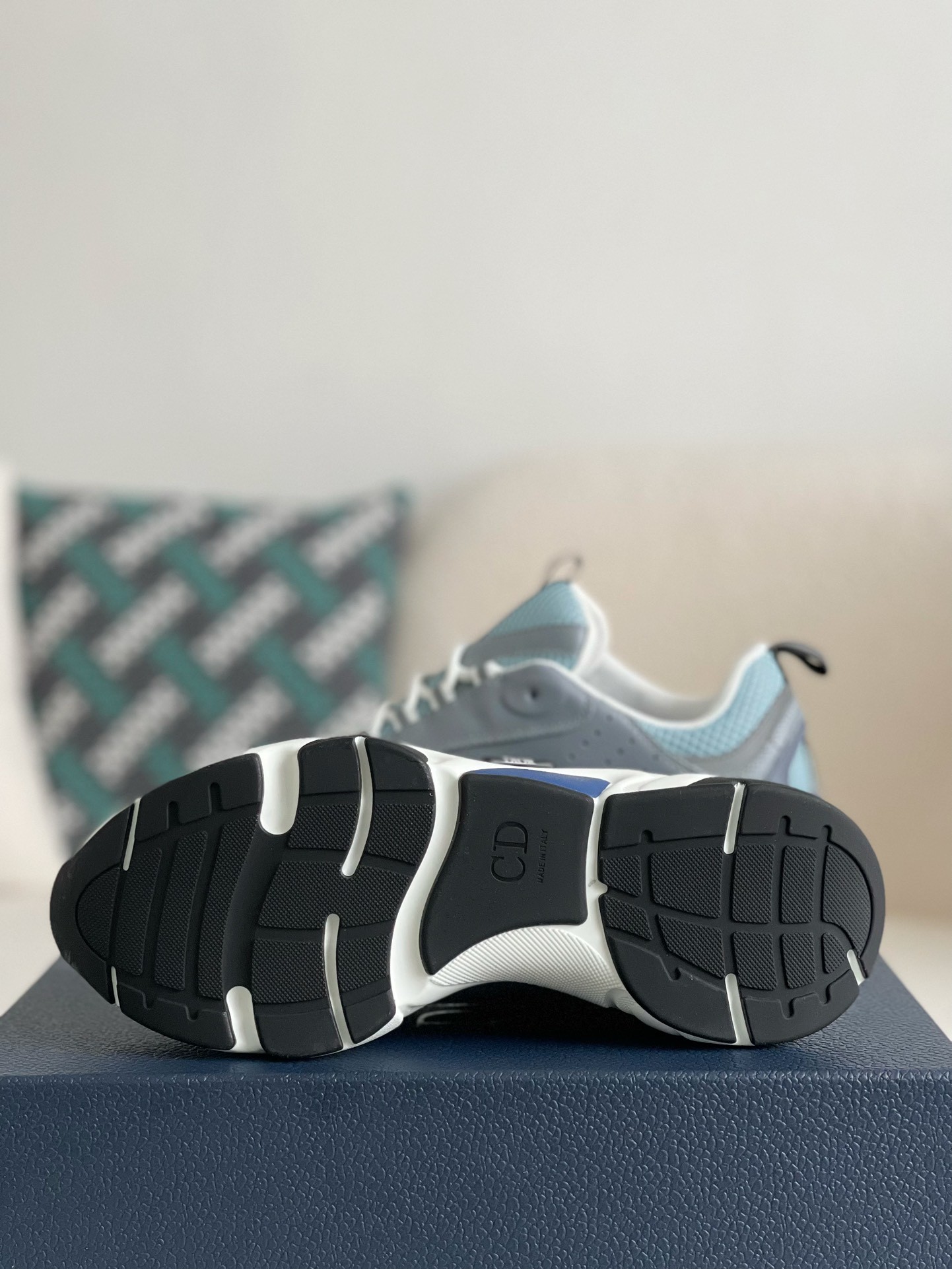 DlOR classic B22 Clunky Sneaker