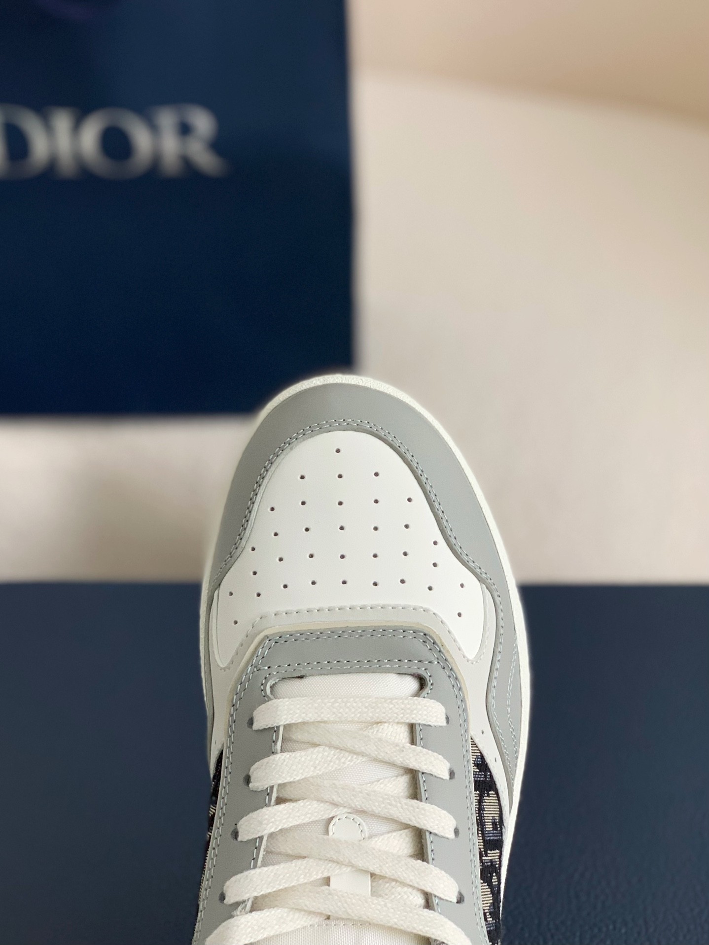 DIOR HIGH LEVEL B27 Sneaker