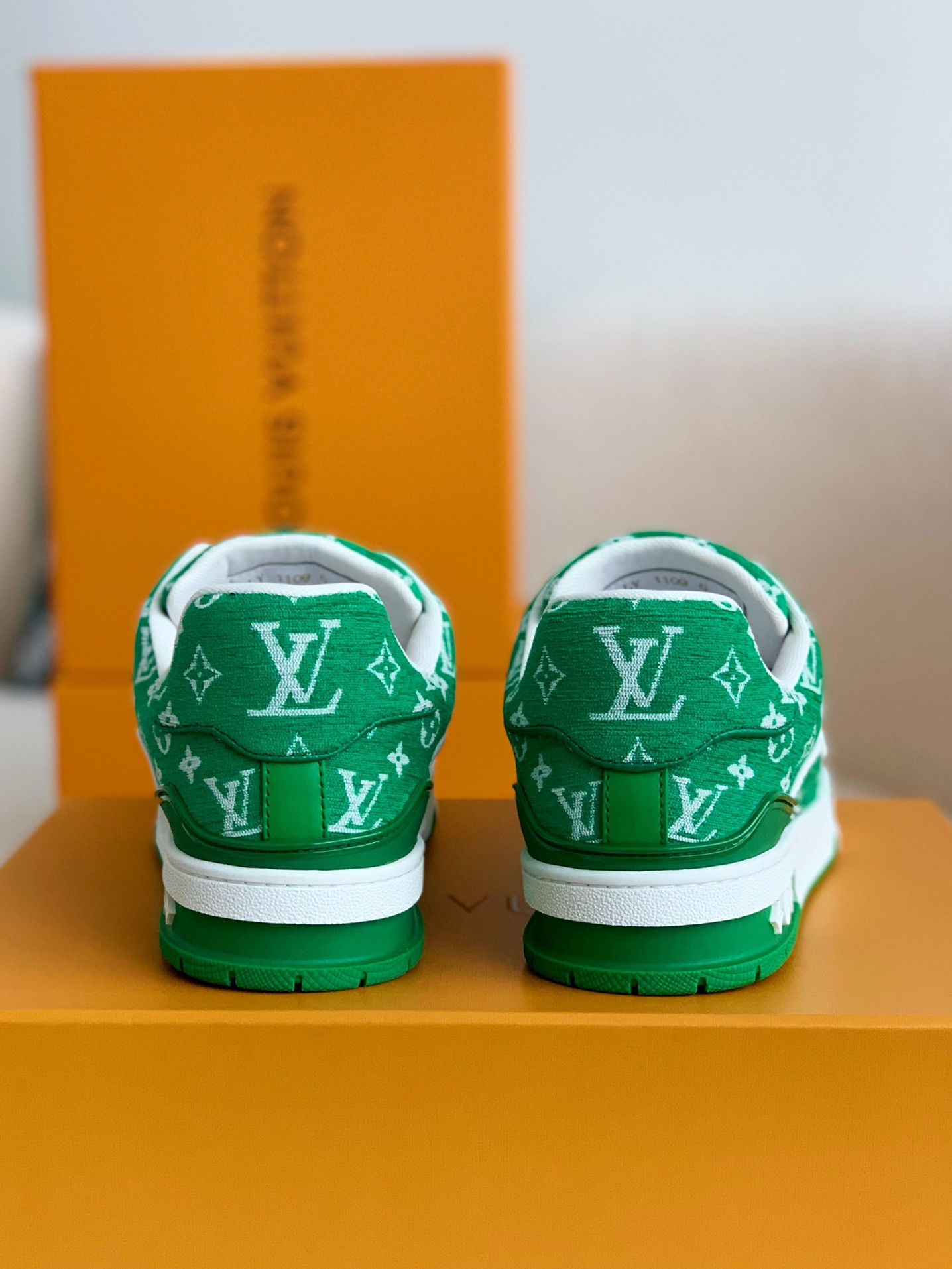 LOUIS VUITTON TRAINER Sneakers