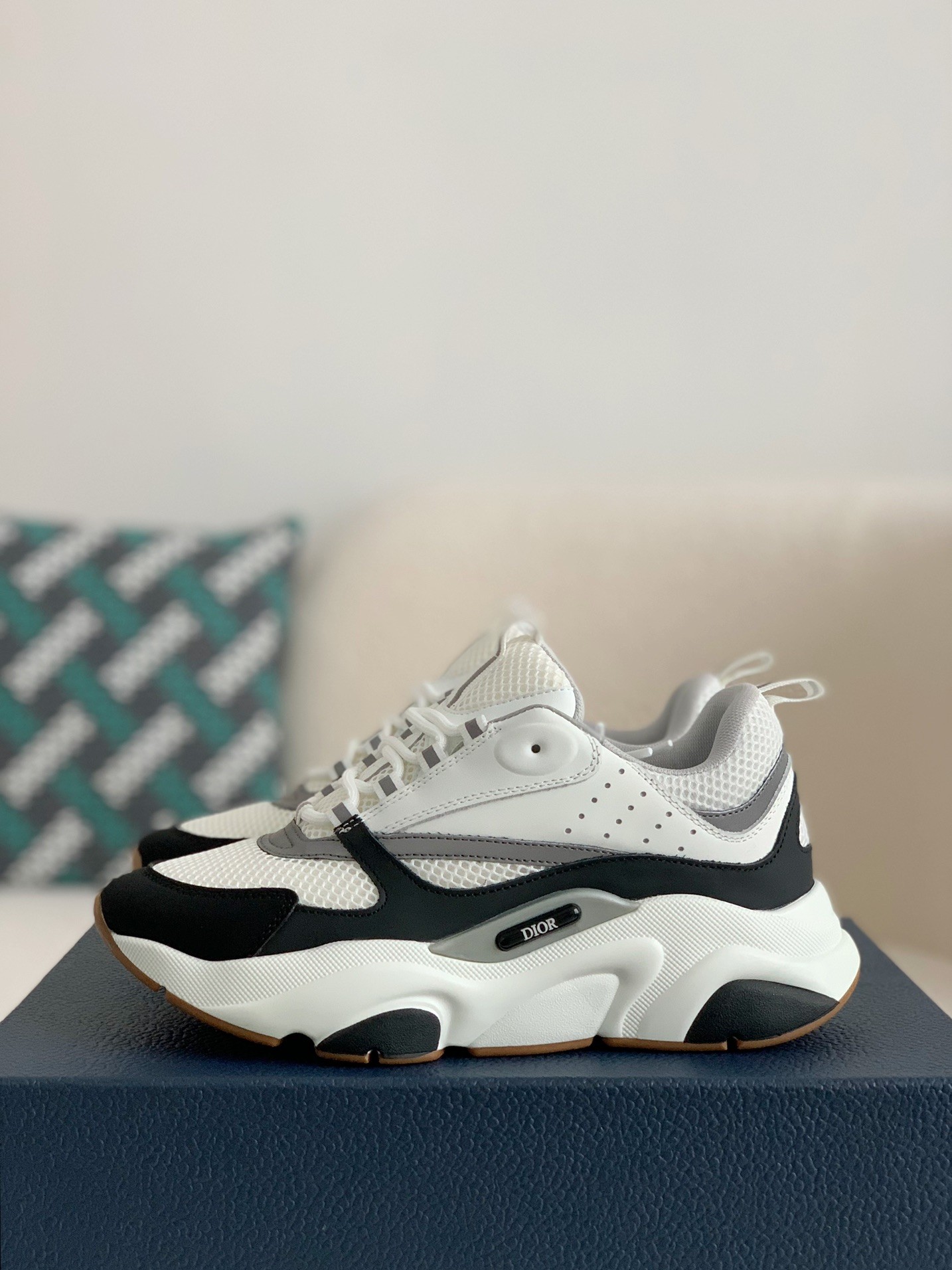 DlOR classic B22 Clunky Sneaker