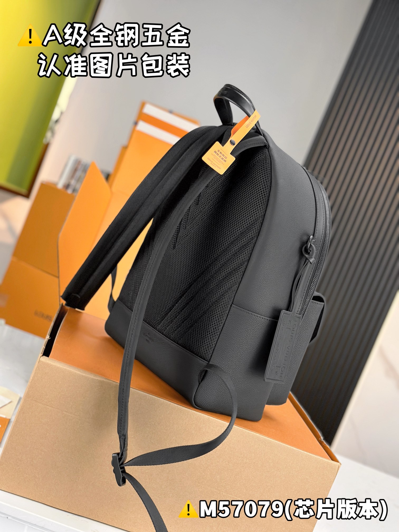 LOUIS VUITTON TAKEOFF Backpack/Top Quality M57079