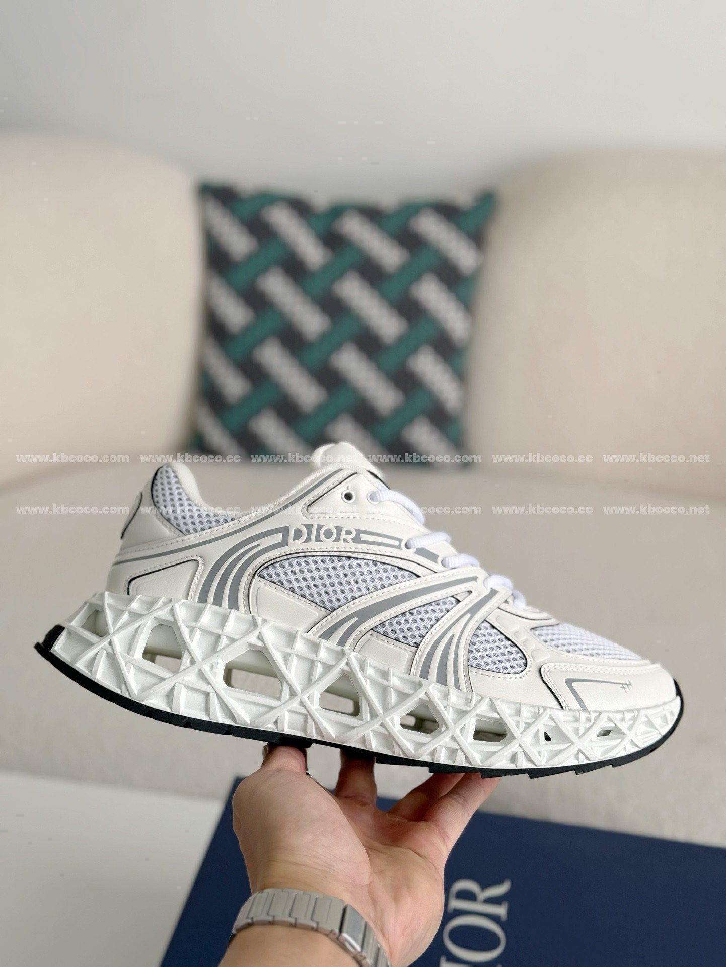 【#3949】 Dior B35 Sports shoes