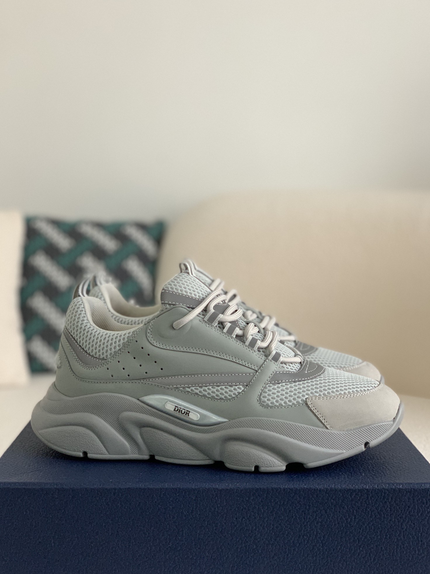 DlOR classic B22 Clunky Sneaker