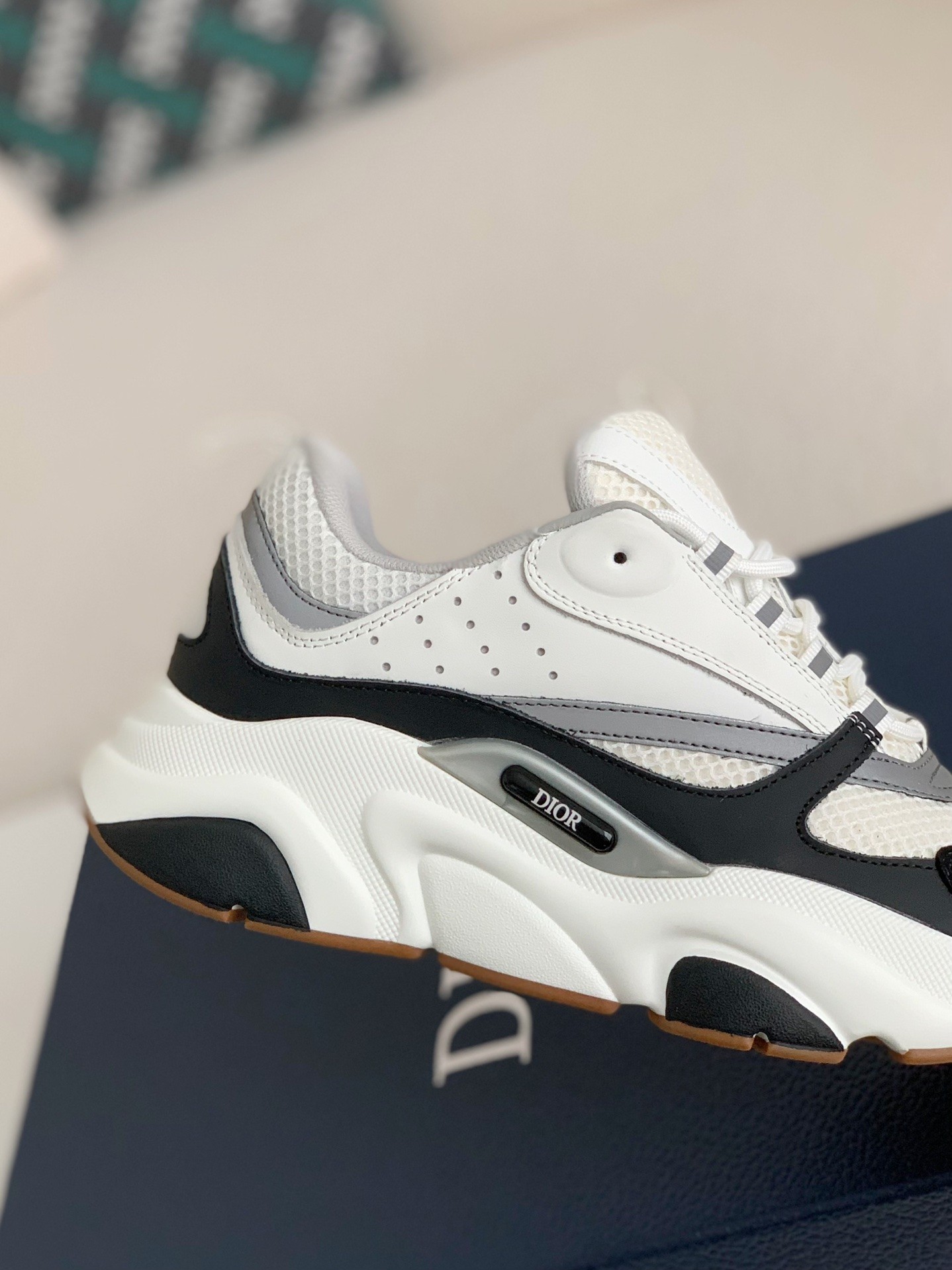 DlOR classic B22 Clunky Sneaker