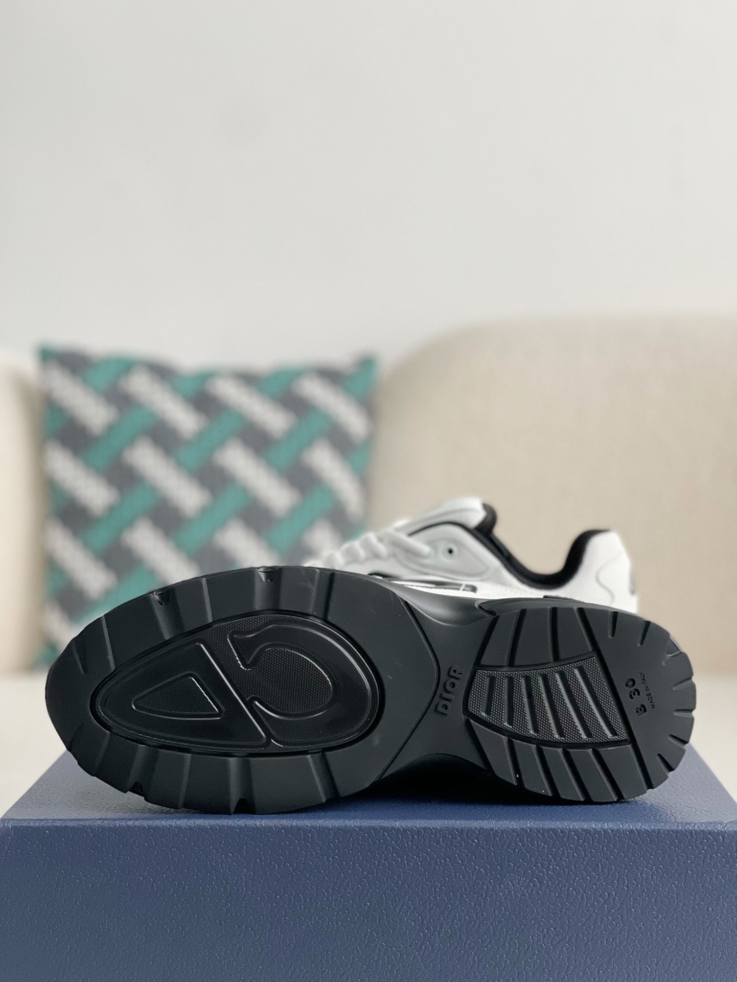 Dior B30 New Sneaker