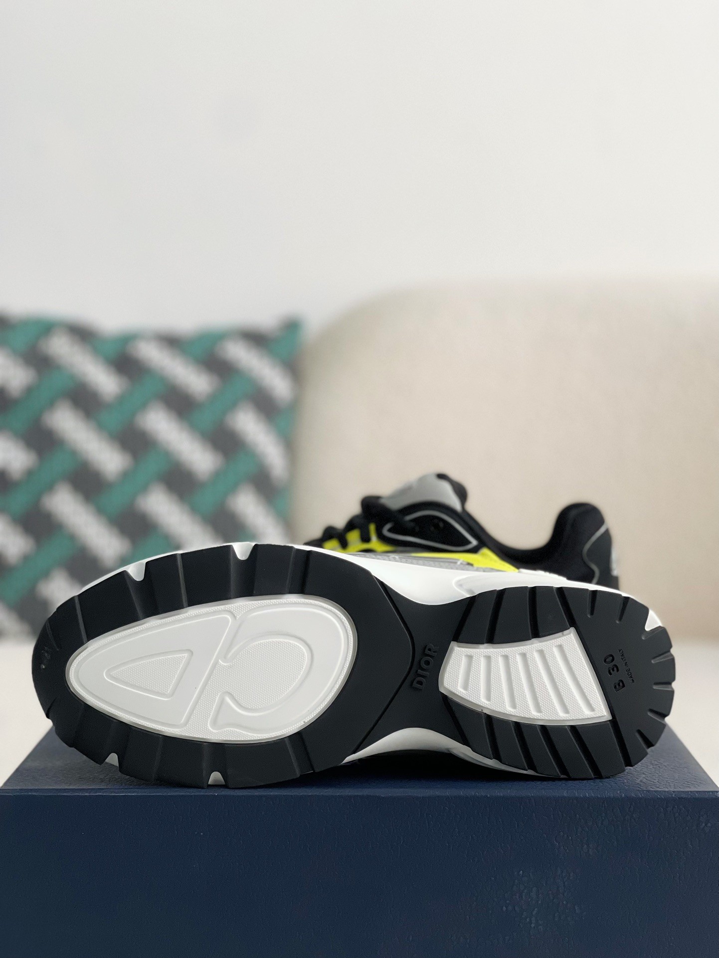 Dior B30 New Sneaker