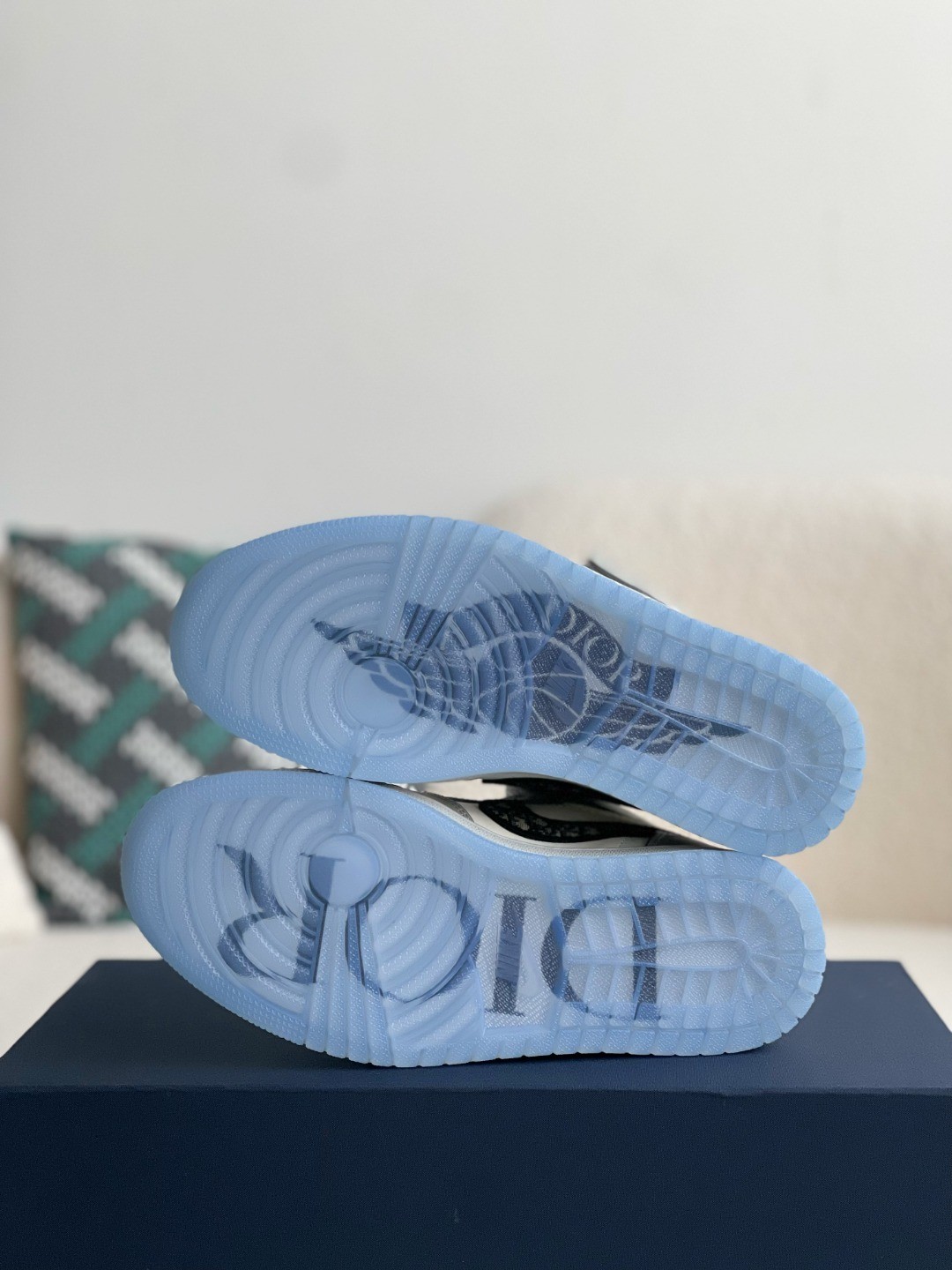 DIOR x NIKE JORDAN 1 Sneaker Low