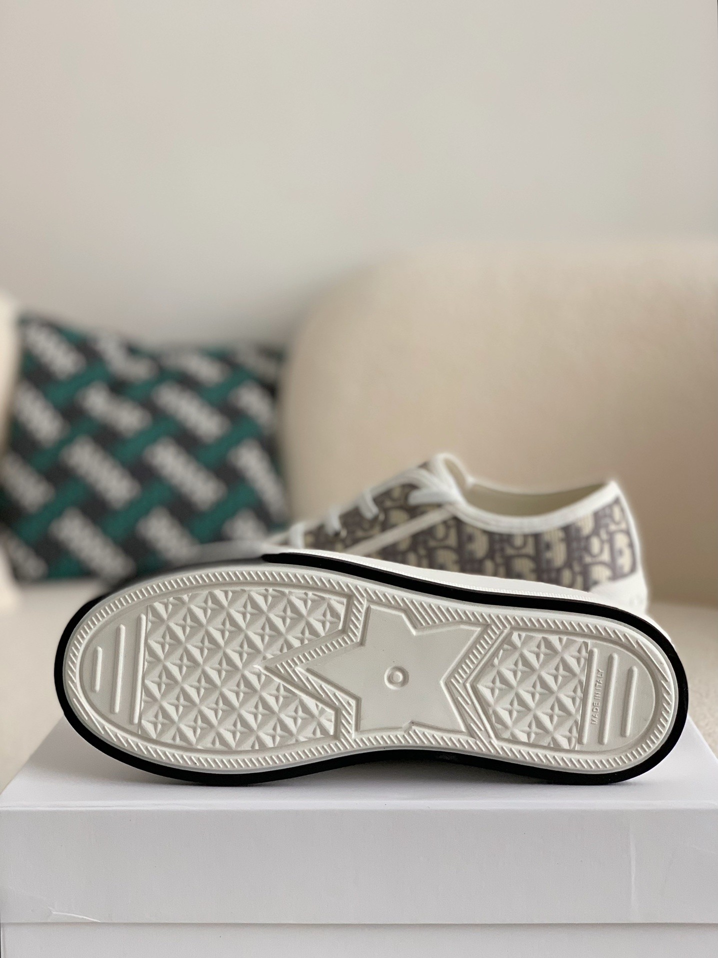 Dior B23 low Sneaker