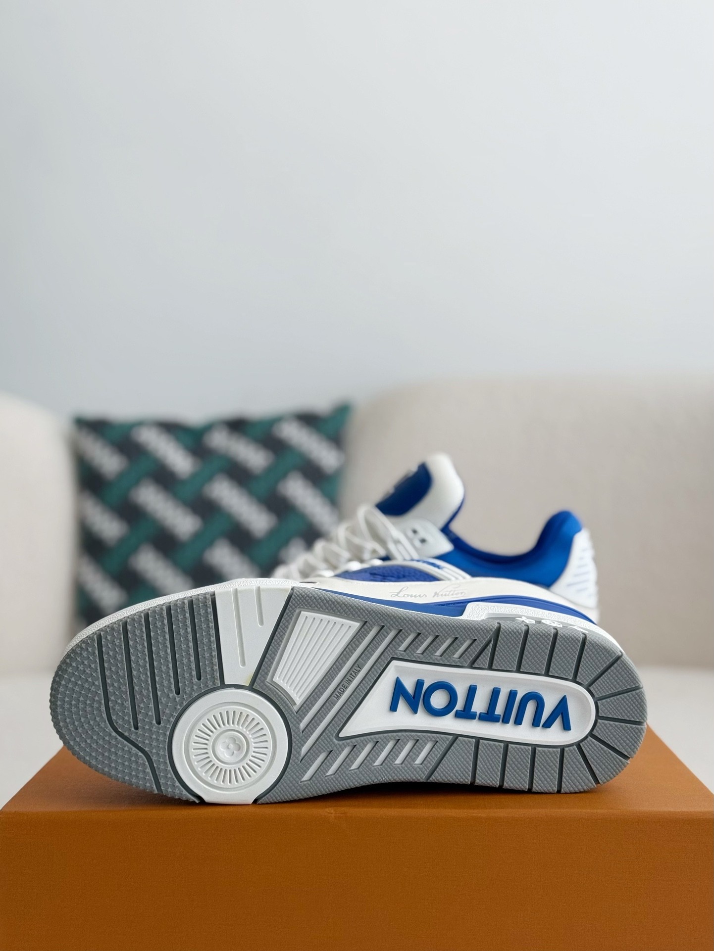 Louis Vuitton Skate Sneakers