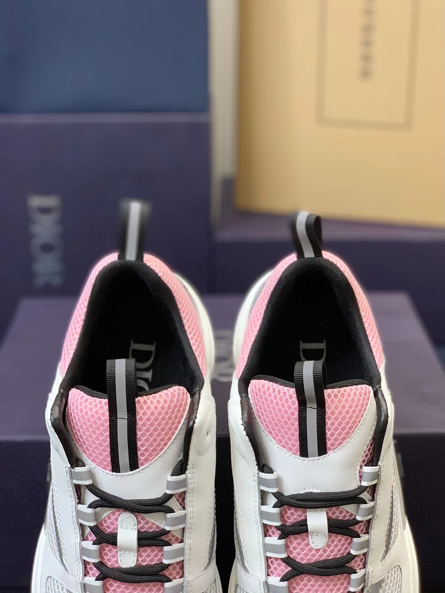 DlOR classic B22 Clunky Sneaker