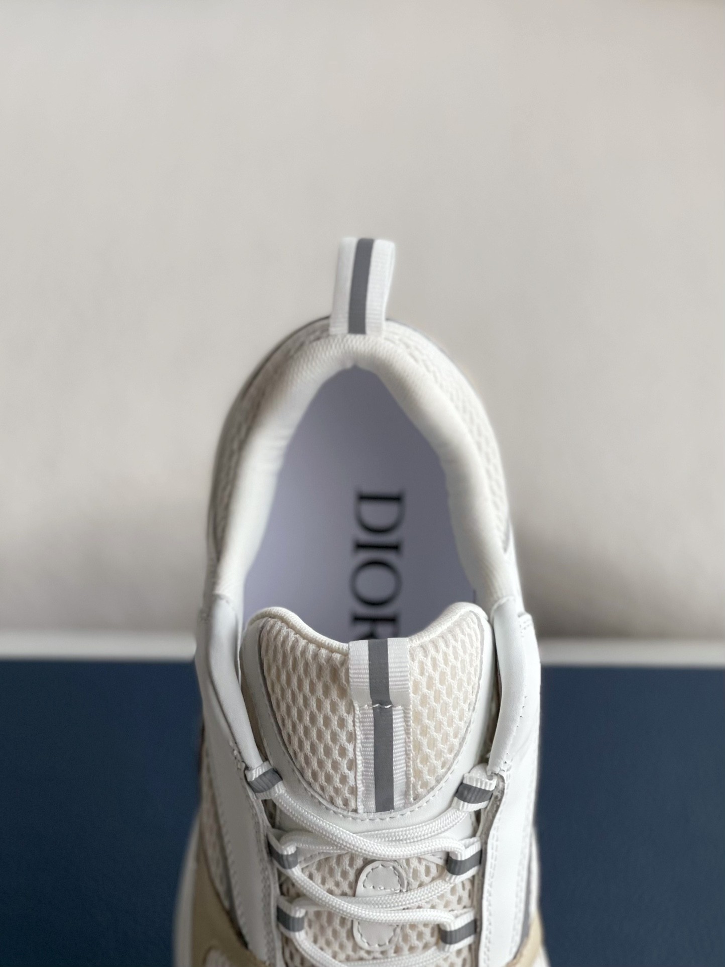 DlOR classic B22 Clunky Sneaker