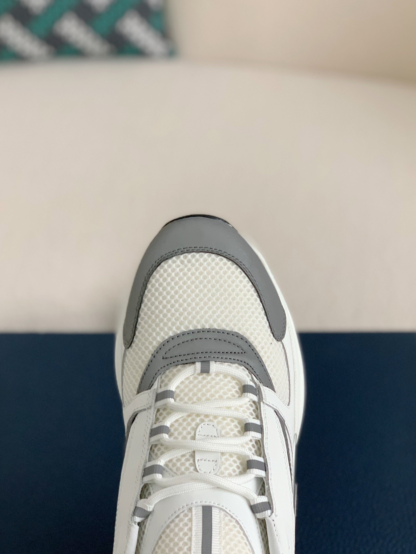 DlOR classic B22 Clunky Sneaker