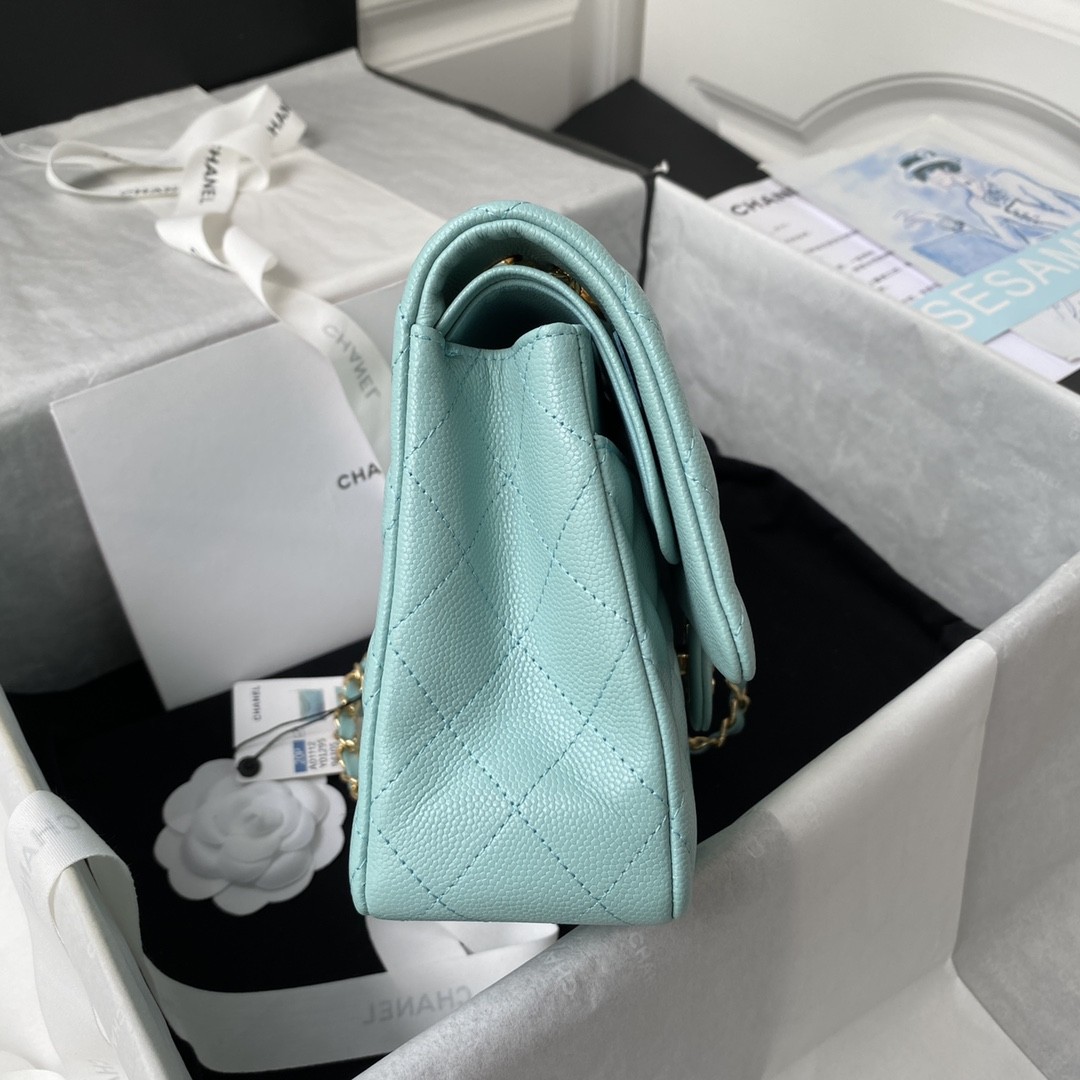 Chanel Classic Flap Bag A01113, Top Quality, Medium