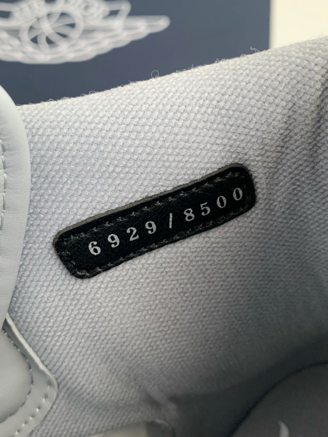 DIOR x NIKE JORDAN 1 Sneaker Low