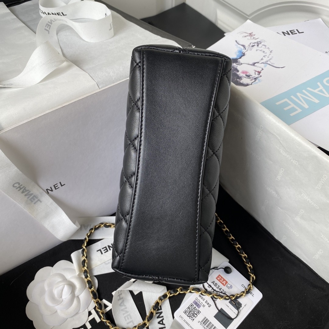 Chanel 23A Golden Little Lion Chain Ba9 AP3429, Top Quality