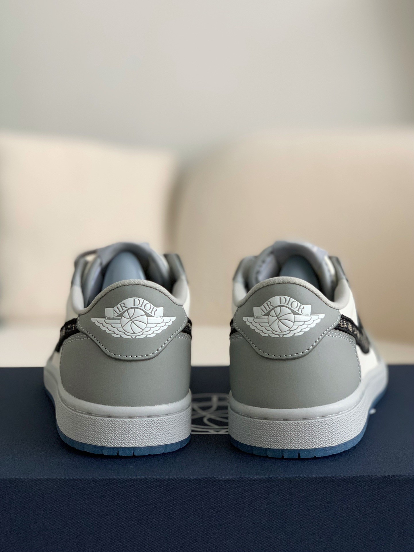 DIOR x NIKE JORDAN 1 Sneaker Low