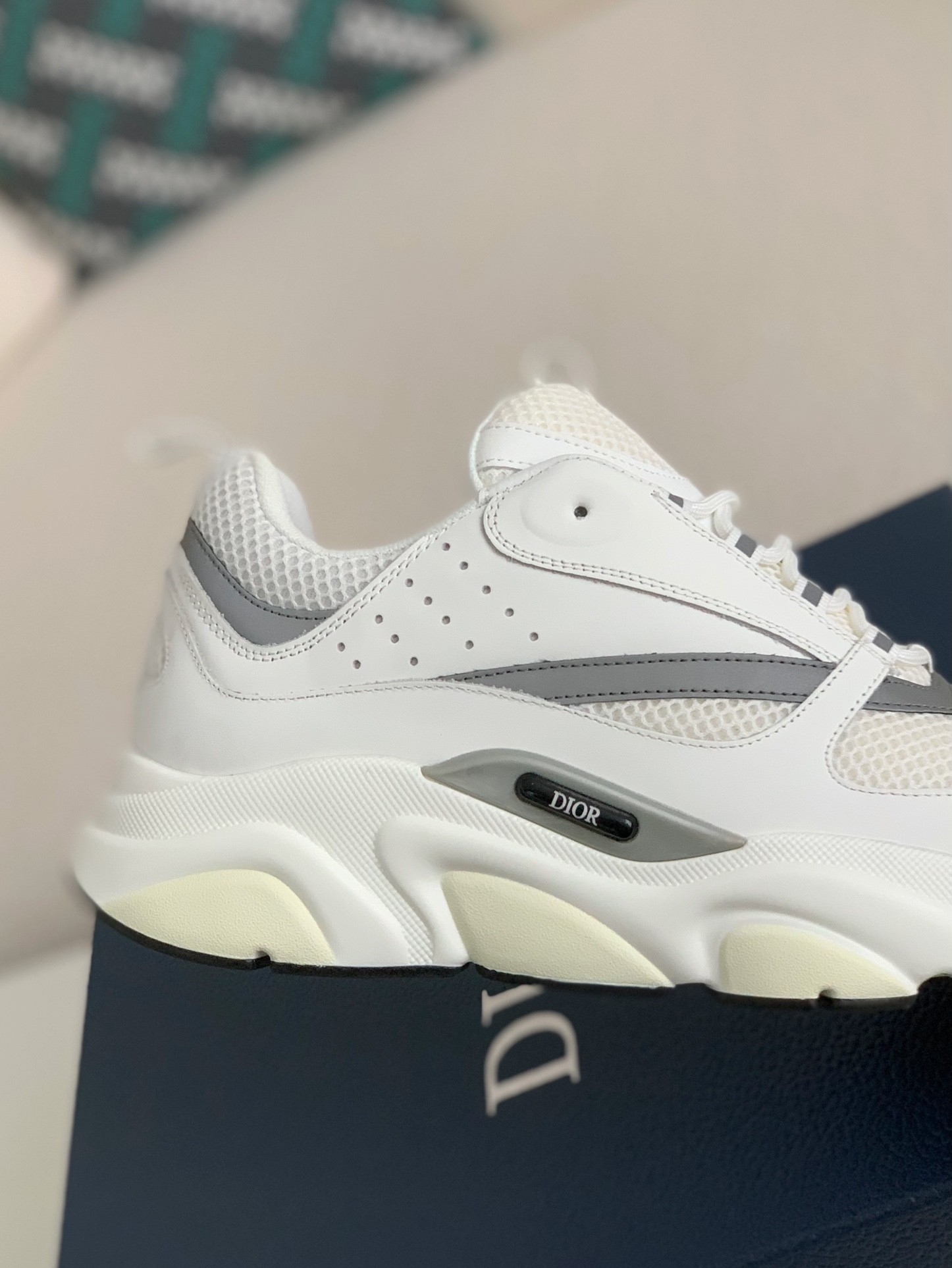 DlOR classic B22 Clunky Sneaker