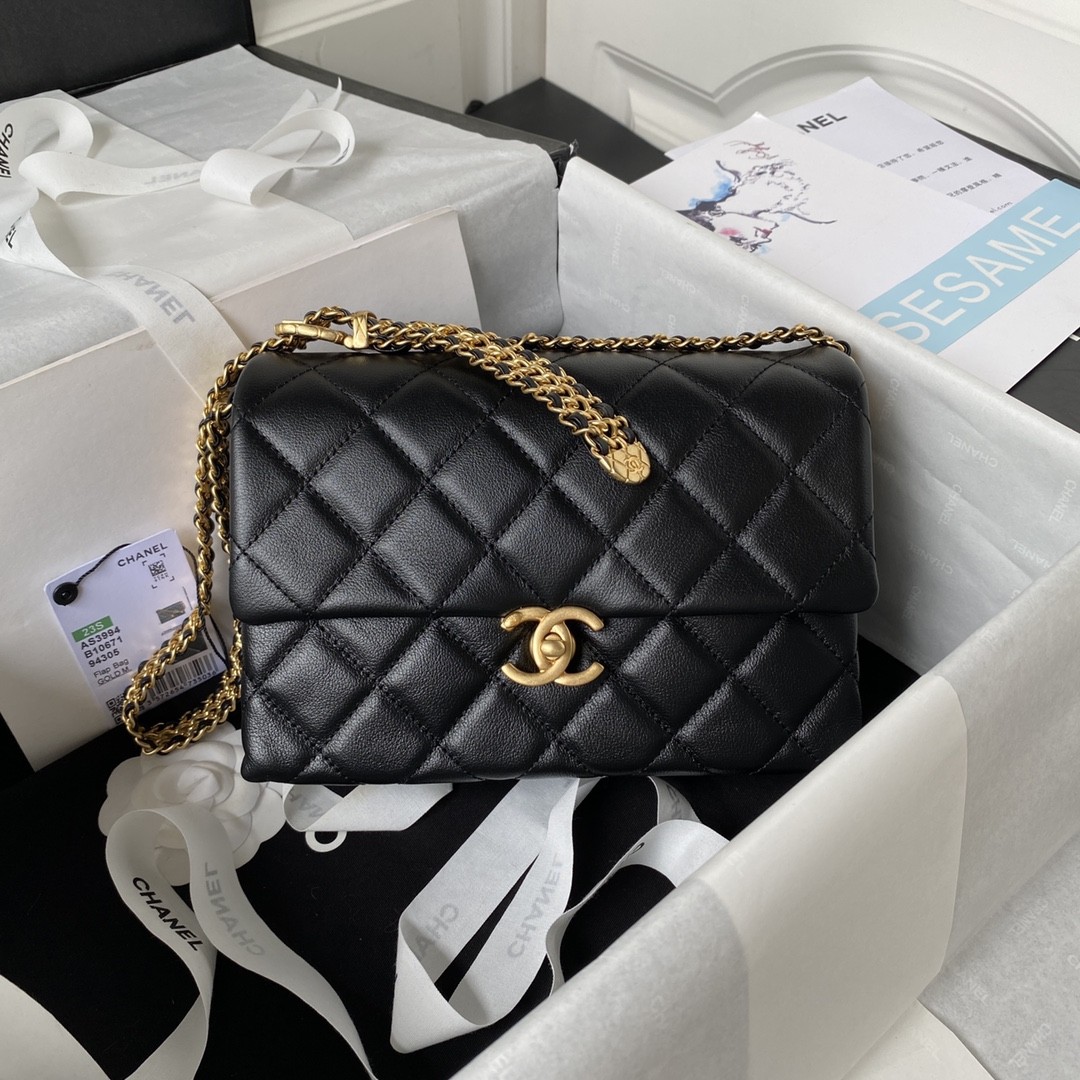 Chanel 23S Underarm Bag AS3994, TopQuality