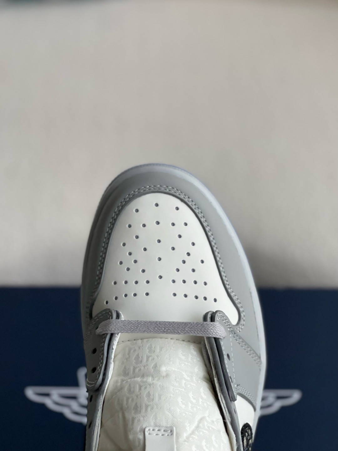 DIOR x NIKE JORDAN 1 Sneaker Low