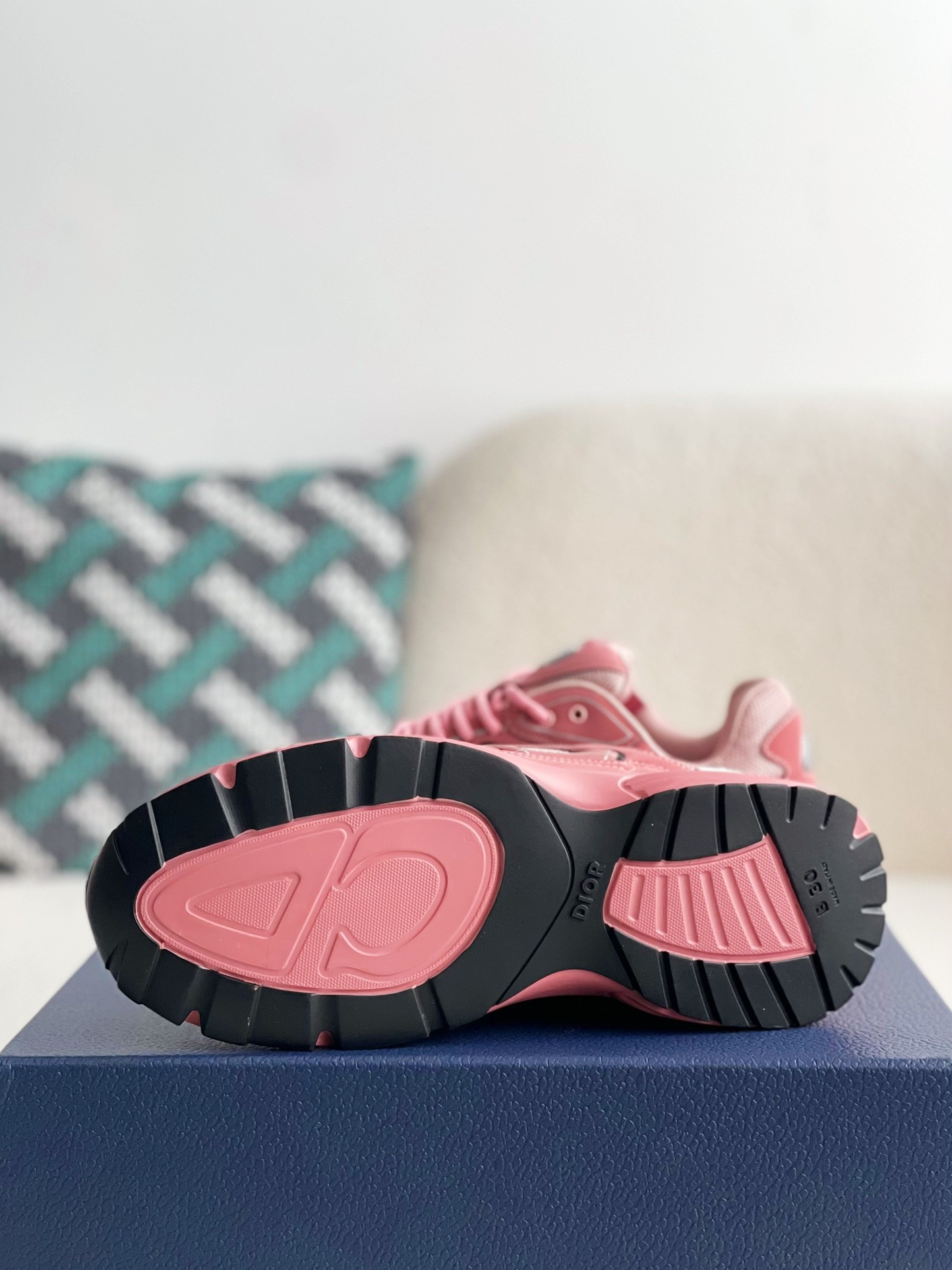 Dior B30 New Sneaker