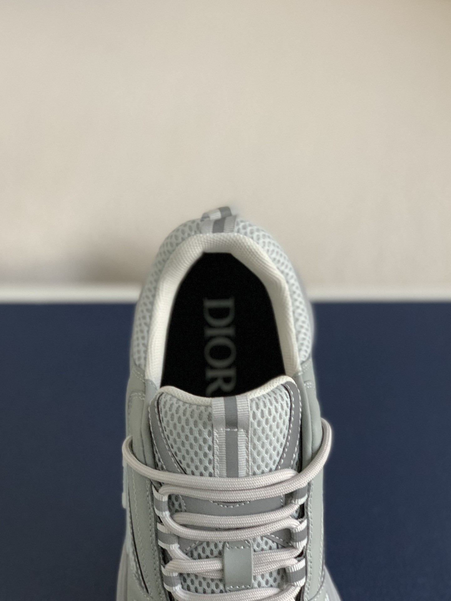 DlOR classic B22 Clunky Sneaker