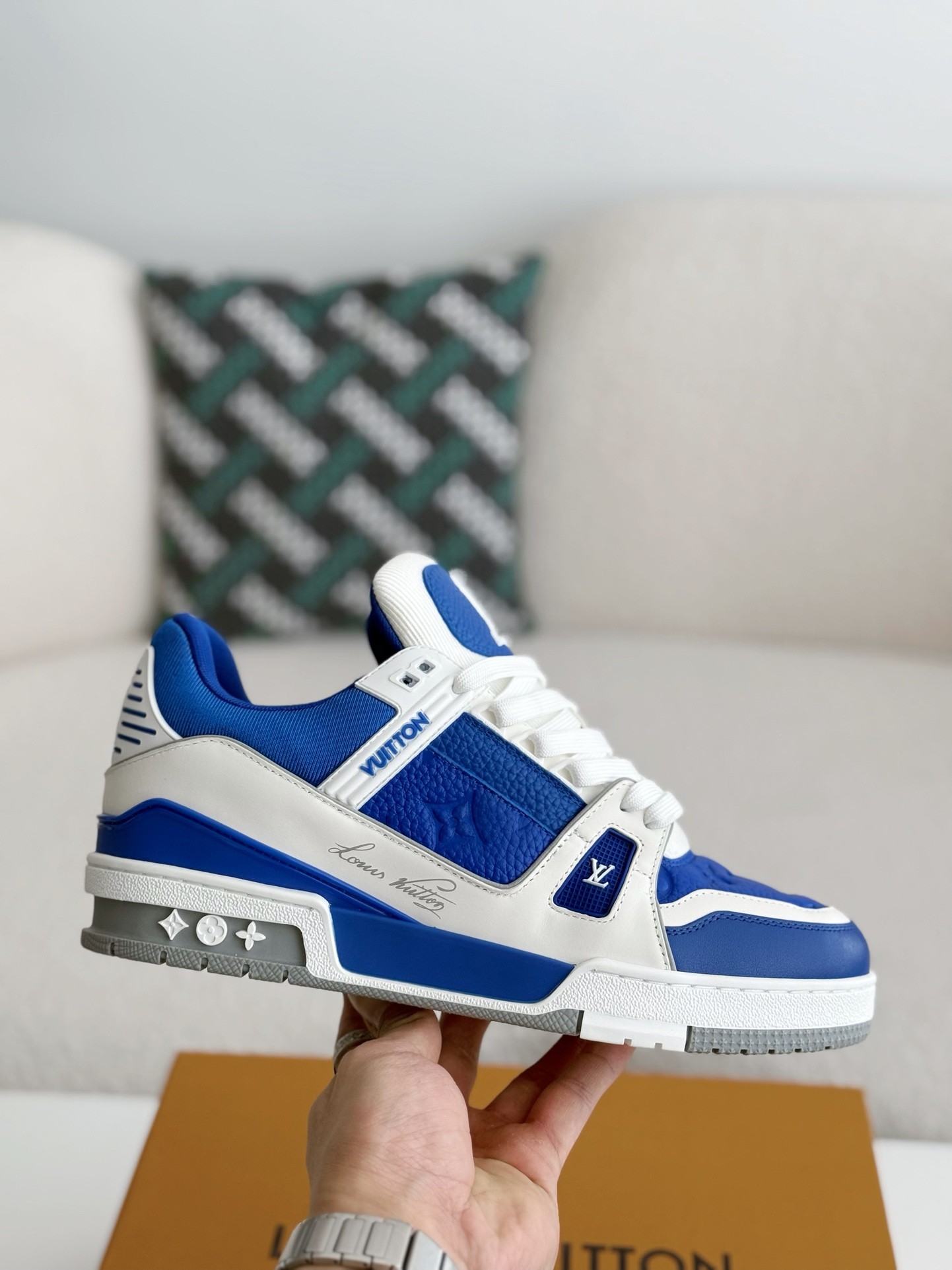 Louis Vuitton Skate Sneakers