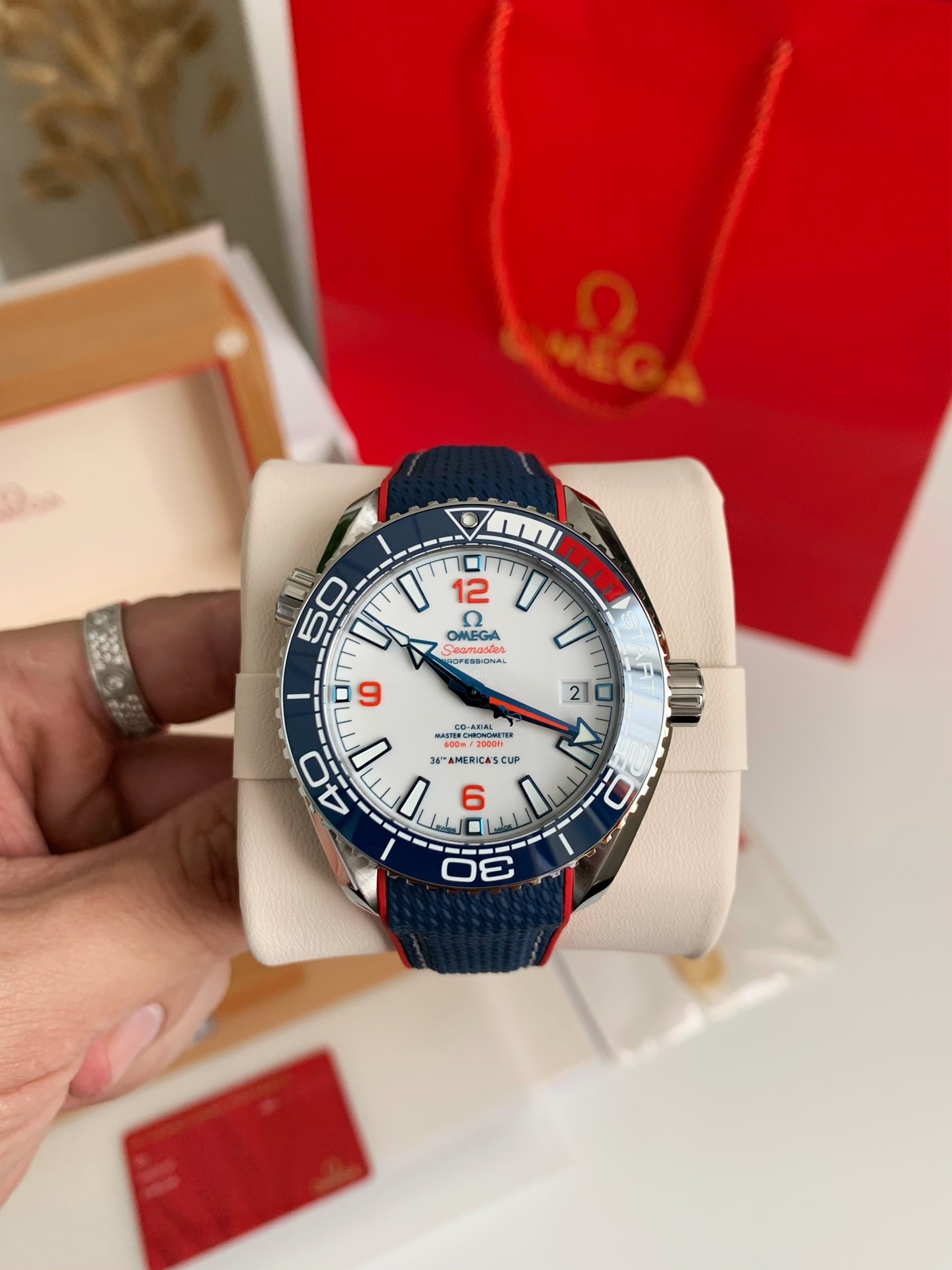 【#3604】Omega Seahorse Series Ocean Cosmos Cup wristwatch,43.5mm