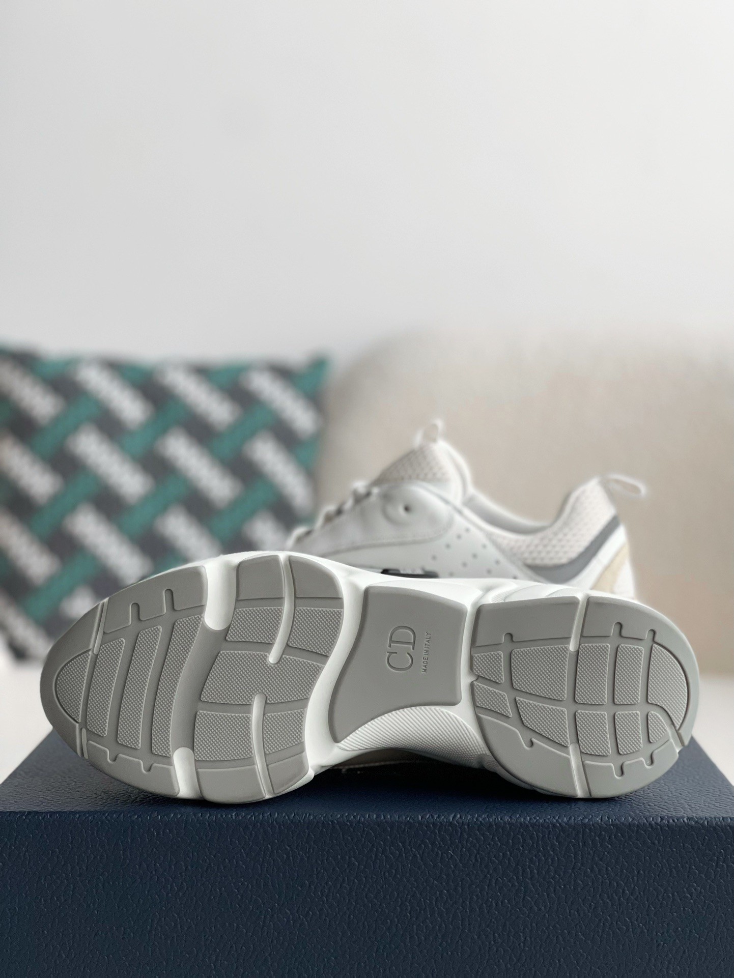 DlOR classic B22 Clunky Sneaker