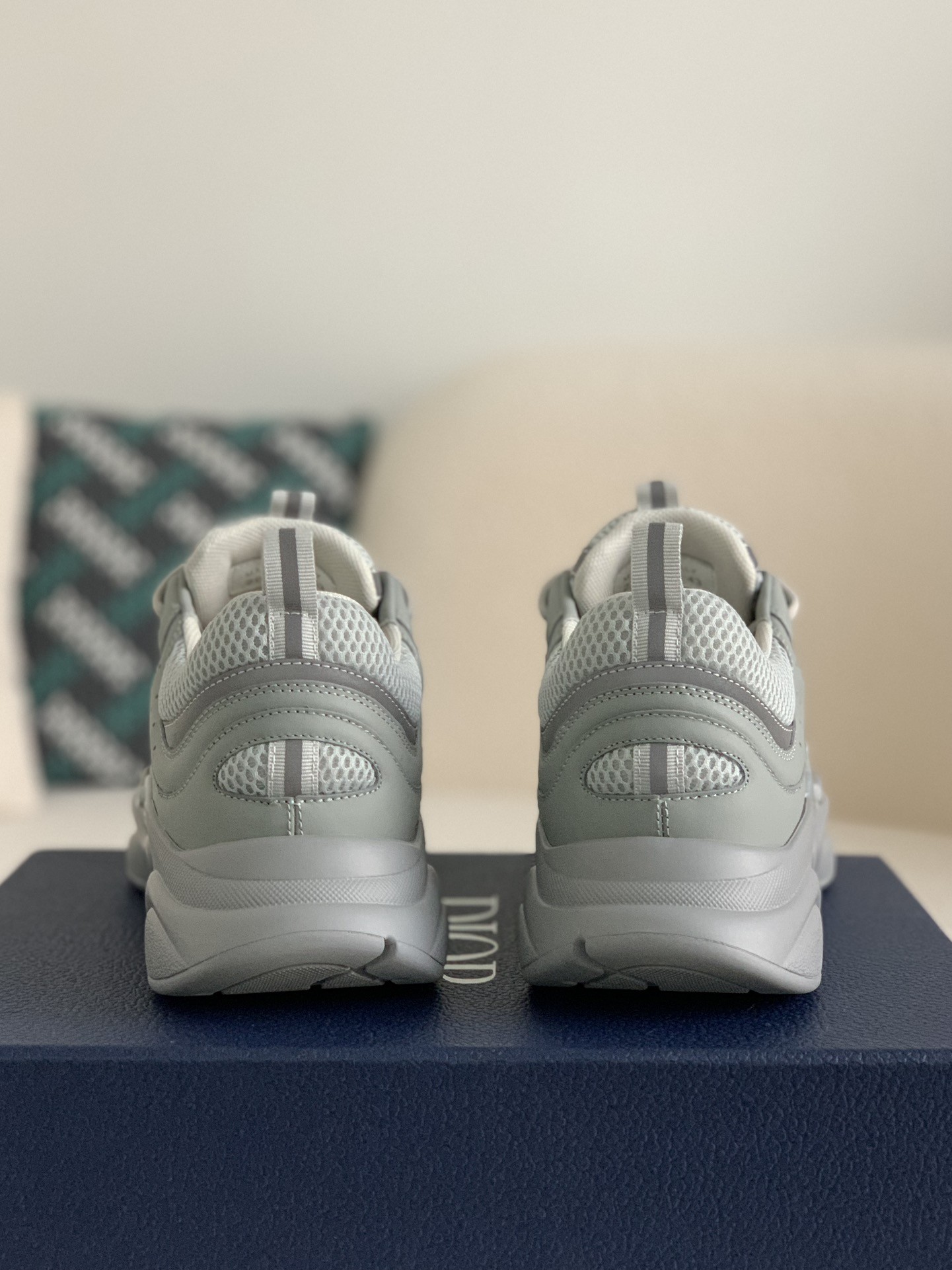 DlOR classic B22 Clunky Sneaker