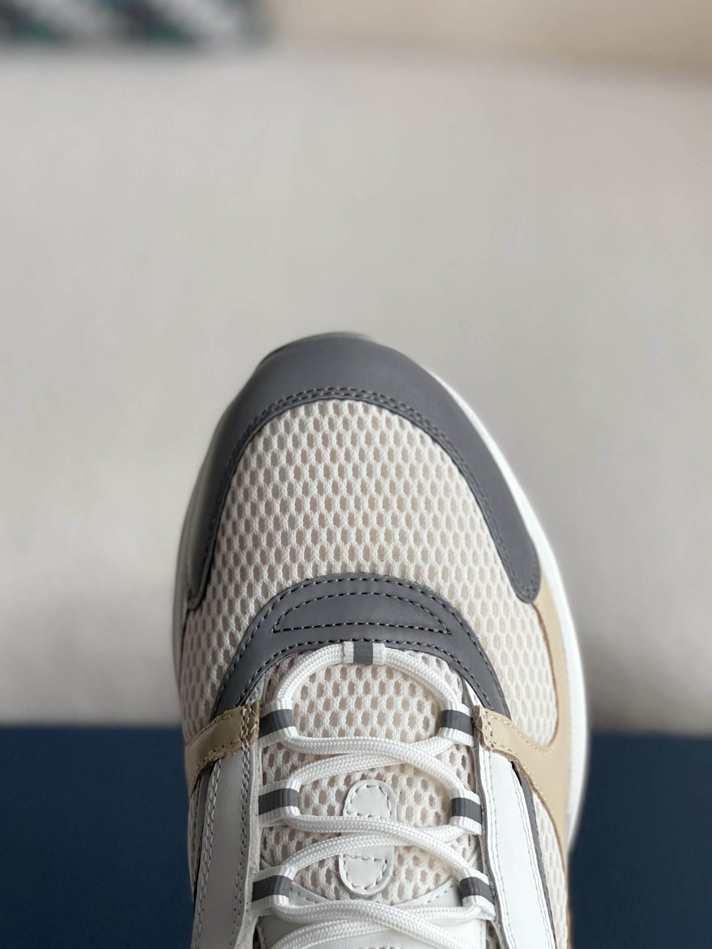 DlOR classic B22 Clunky Sneaker