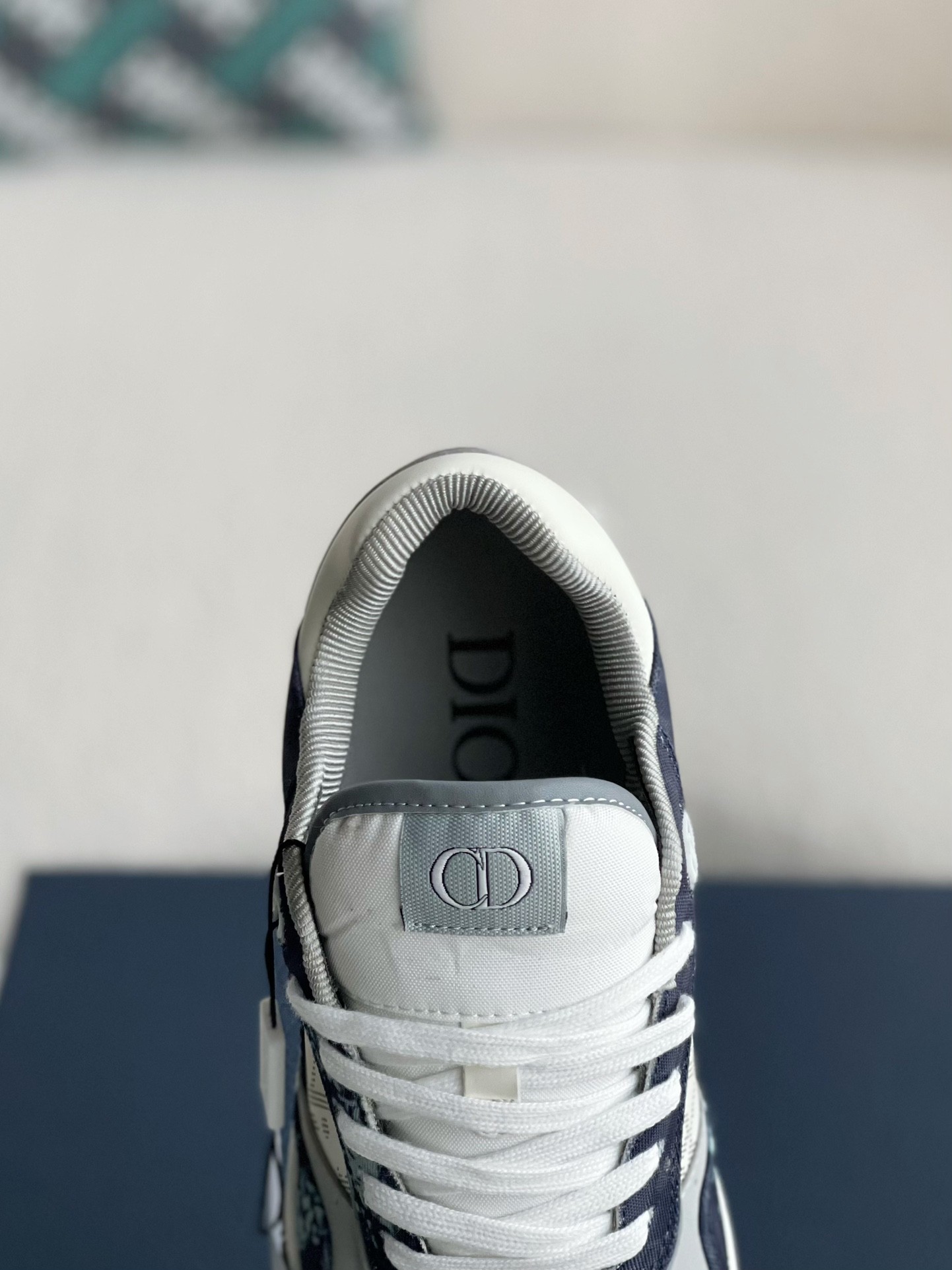 DlOR New B27 Sneaker