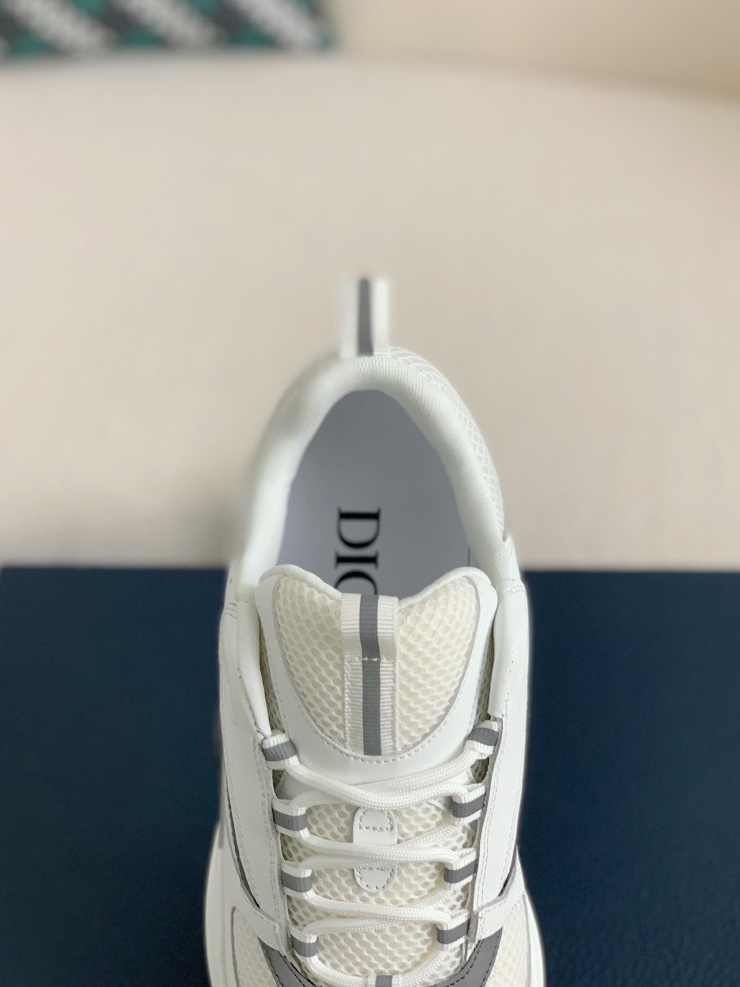 DlOR classic B22 Clunky Sneaker
