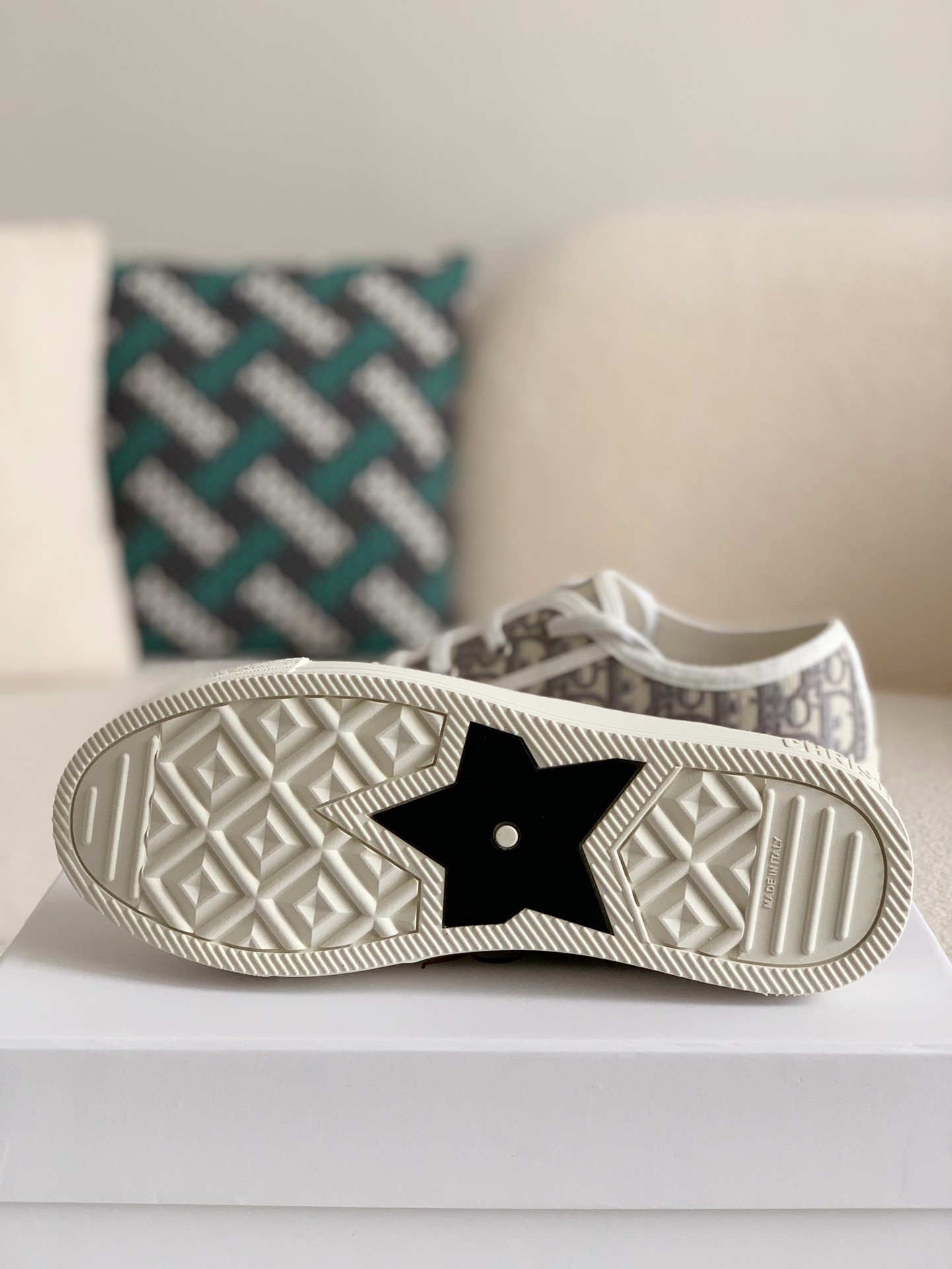 Dior B23 low Sneaker