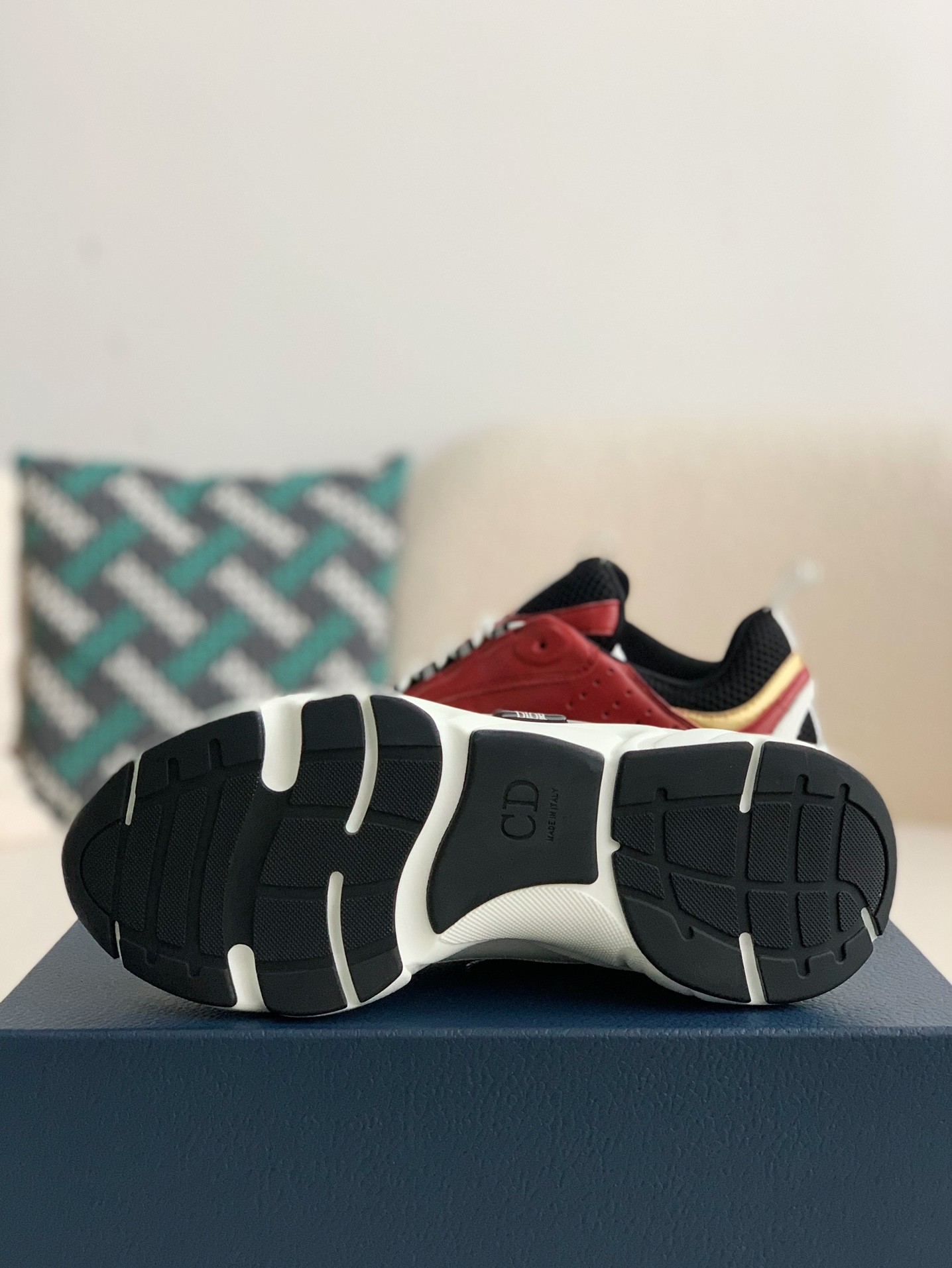 DlOR classic B22 Clunky Sneaker