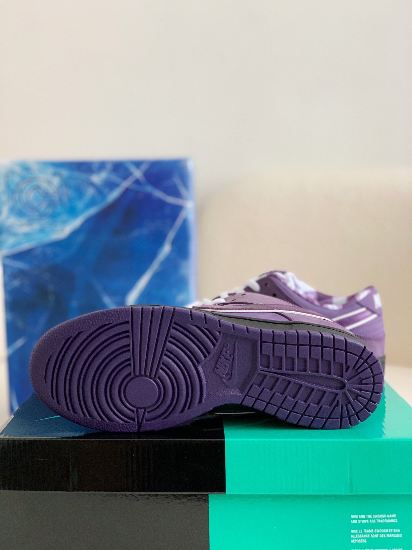 【#1485】 Nike UA Dunk SB Low Orange Lobster Sneakers