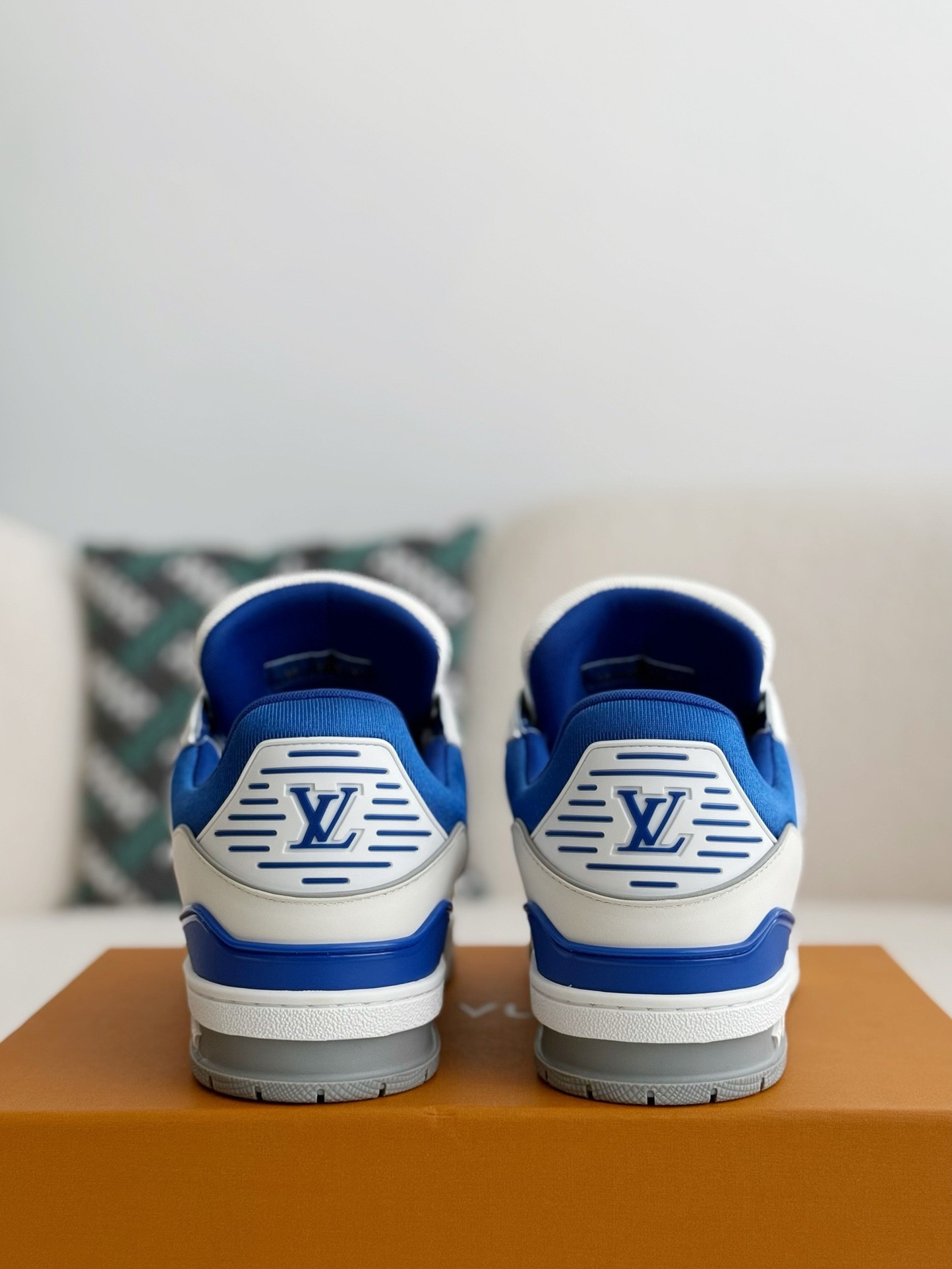 Louis Vuitton Skate Sneakers