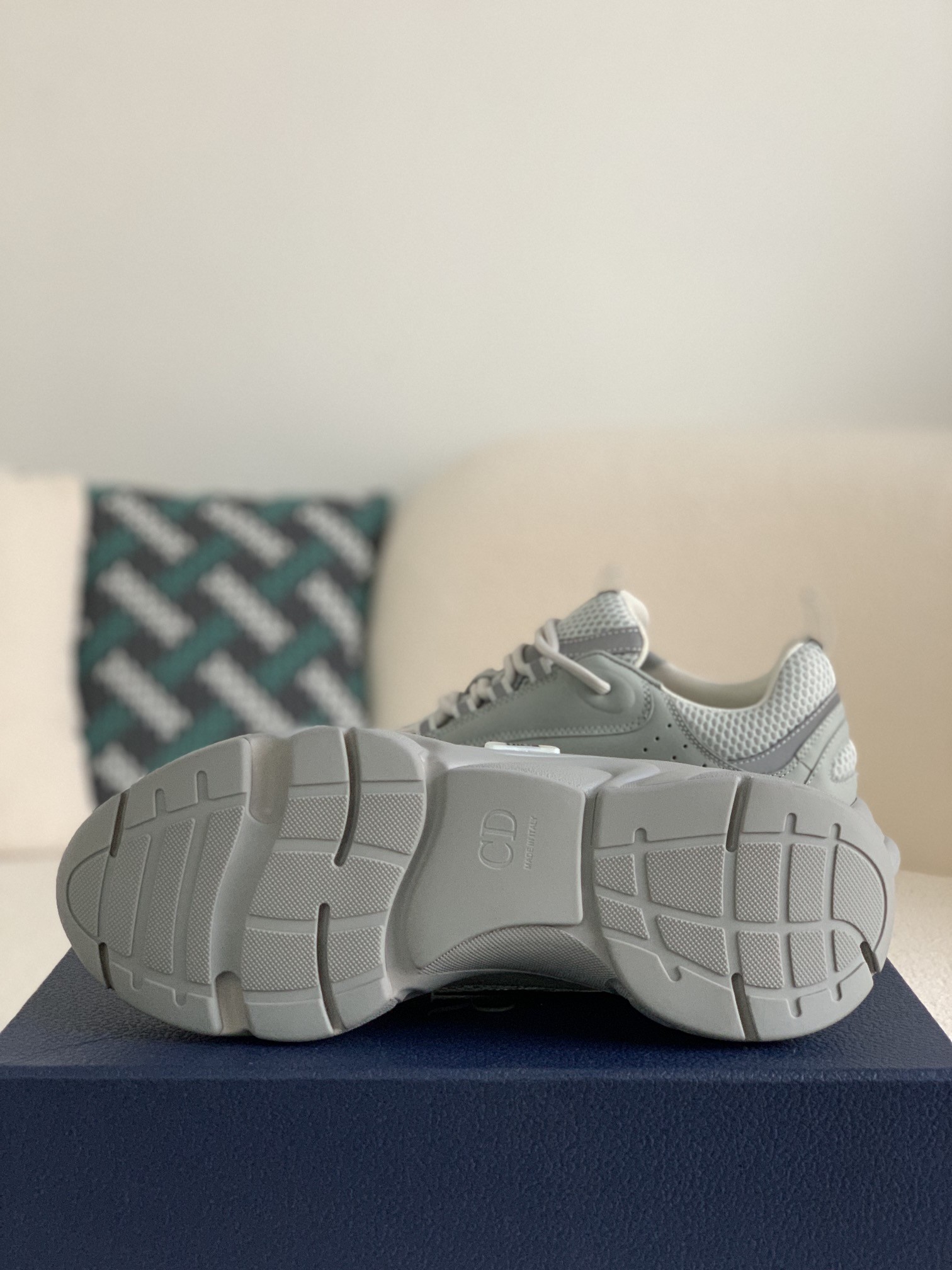 DlOR classic B22 Clunky Sneaker