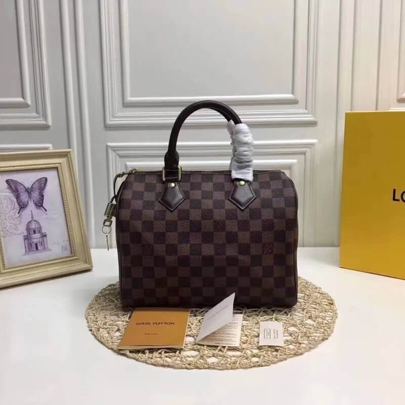 Louis Vuitton Damier Ebene Canvas Speedy 25 N41365