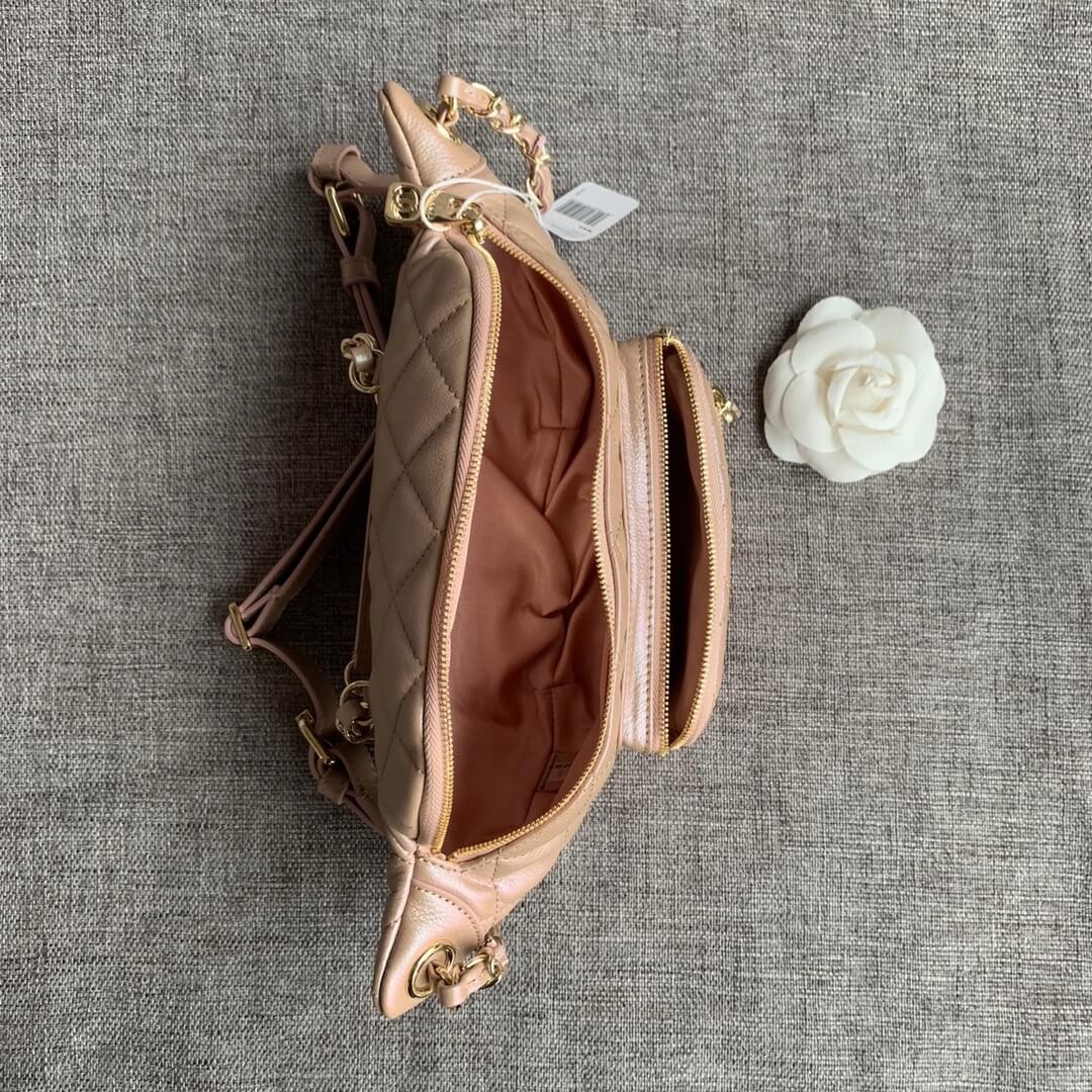 Chanel Quilted Caviar Clafskin Waist Bag AS0556