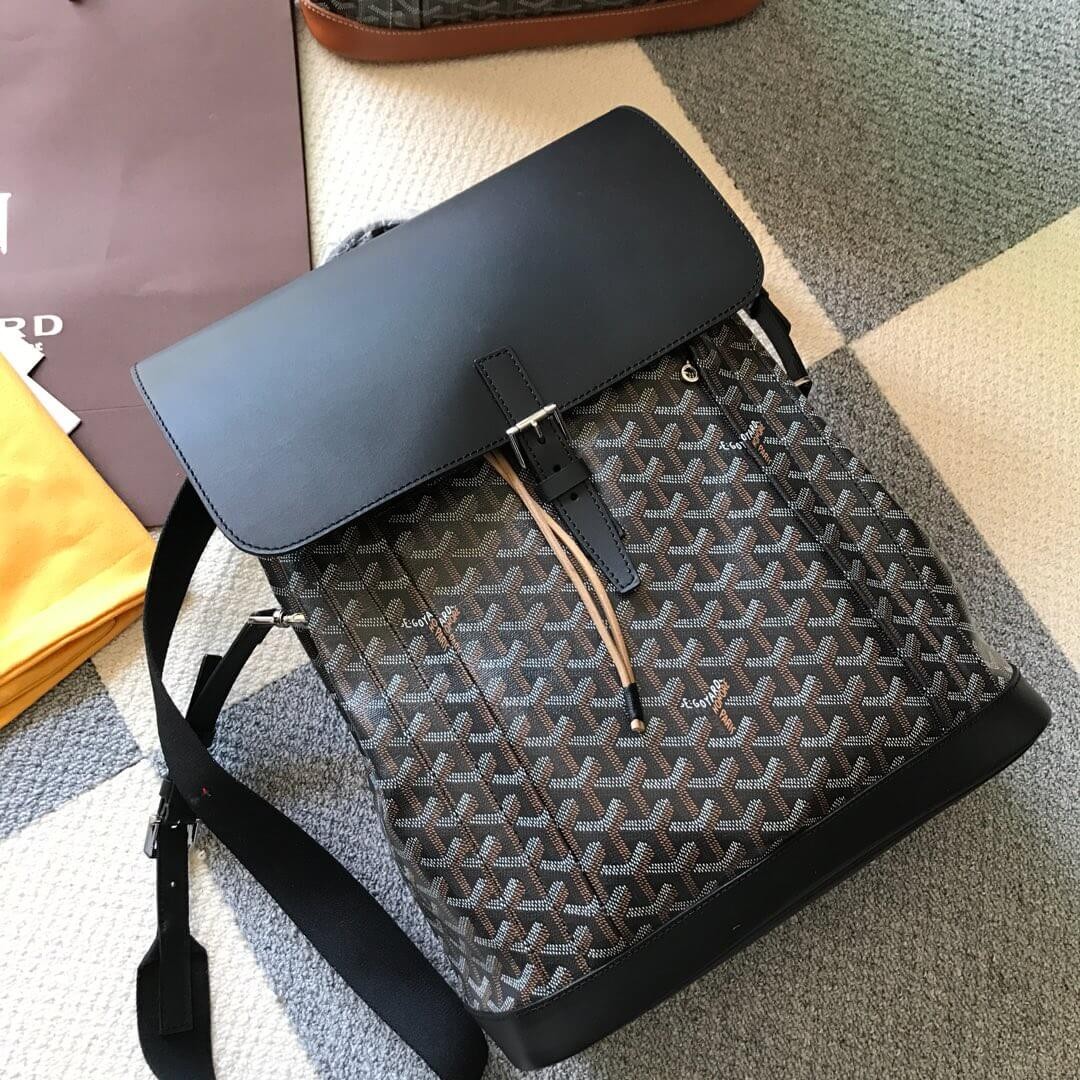 Goyard Calfskin Alpin Backpack 169555