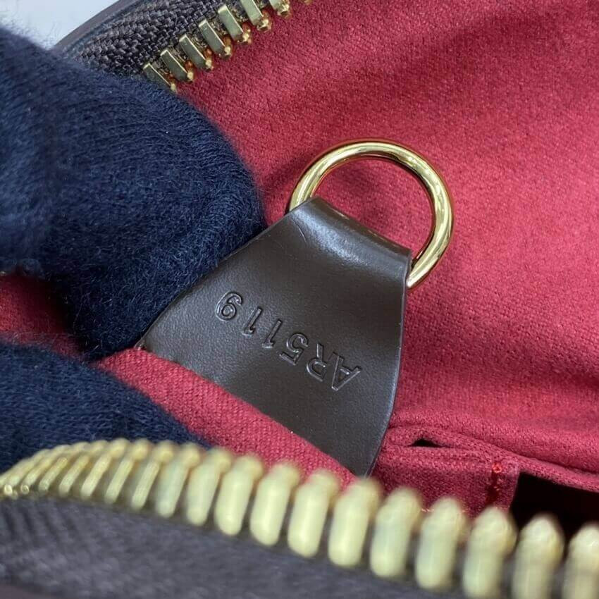 Louis Vuitton Damier Ebene Trevi PM N51197