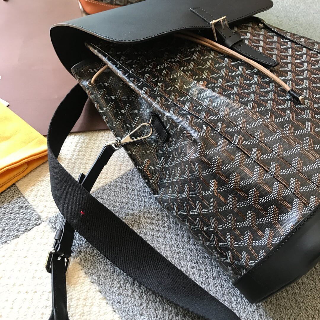 Goyard Calfskin Alpin Backpack 169555