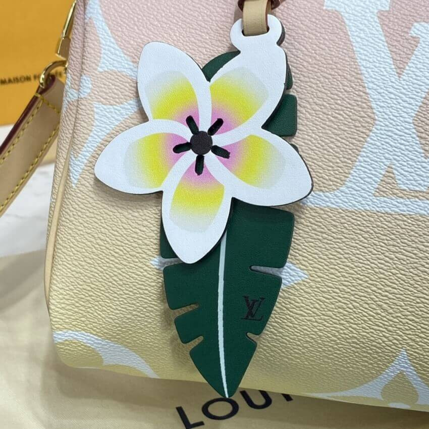 Louis Vuitton Speedy Bandouliere 25 M45722 M45724