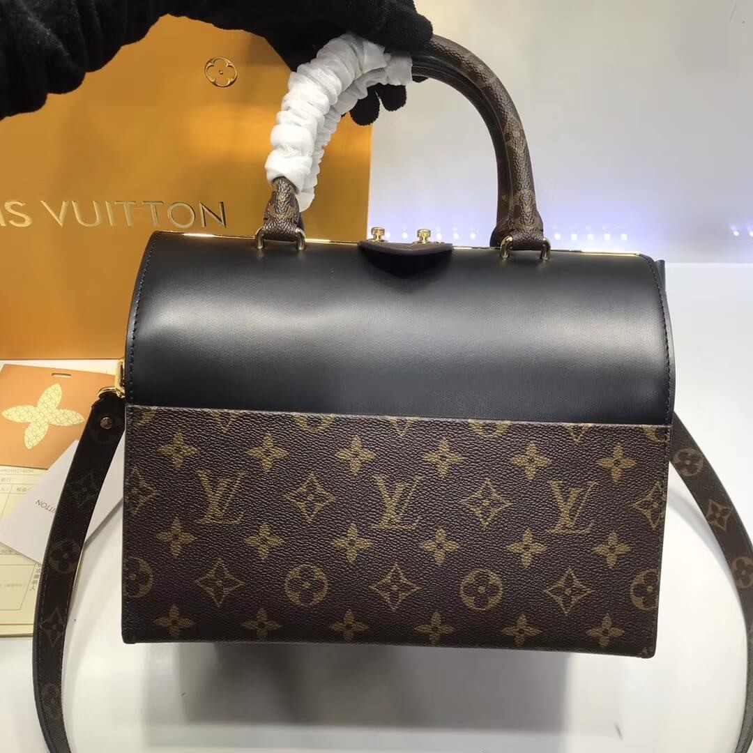 Louis Vuitton Speedy Doctor 25 Handbag M51468